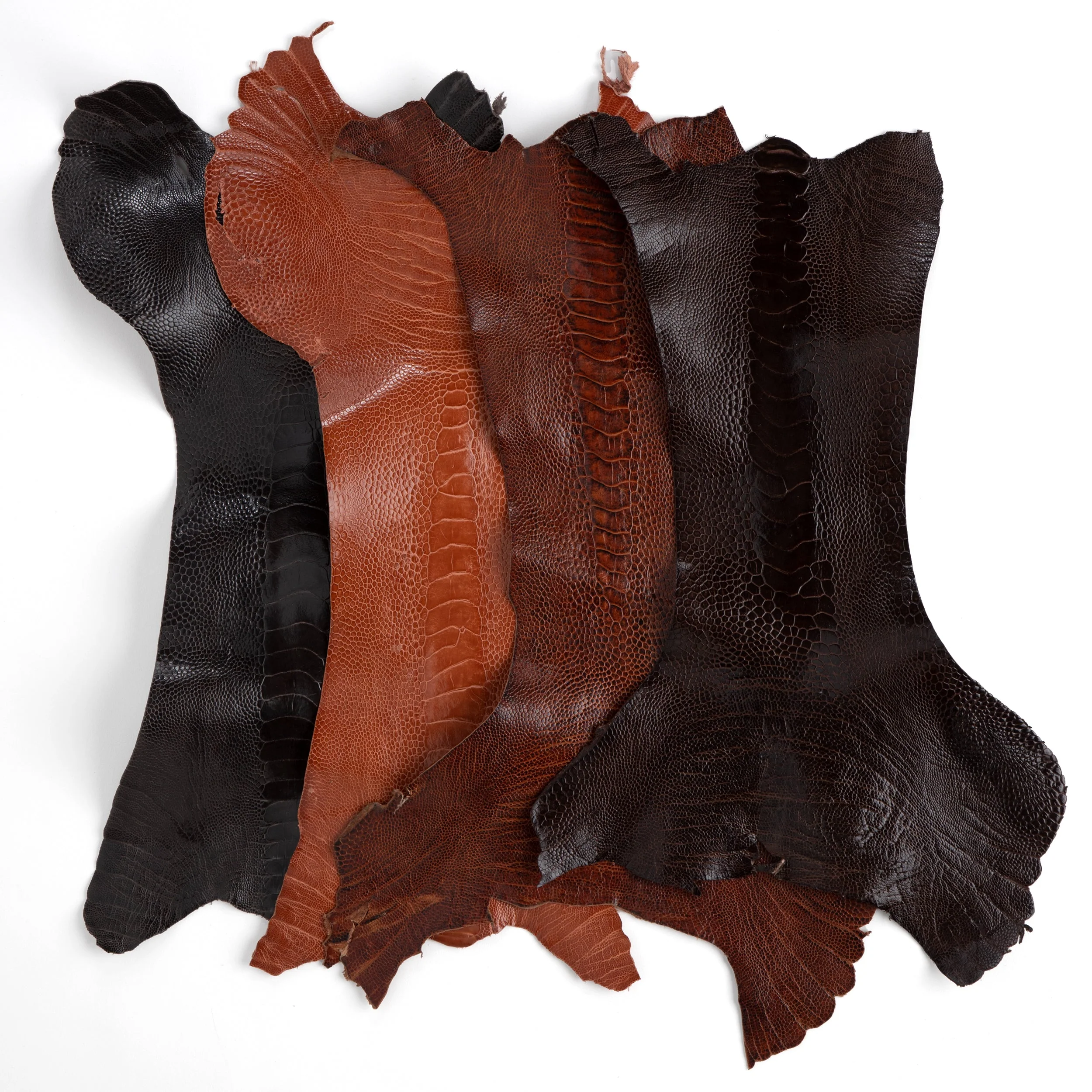 Ostrich Leg - Image 5