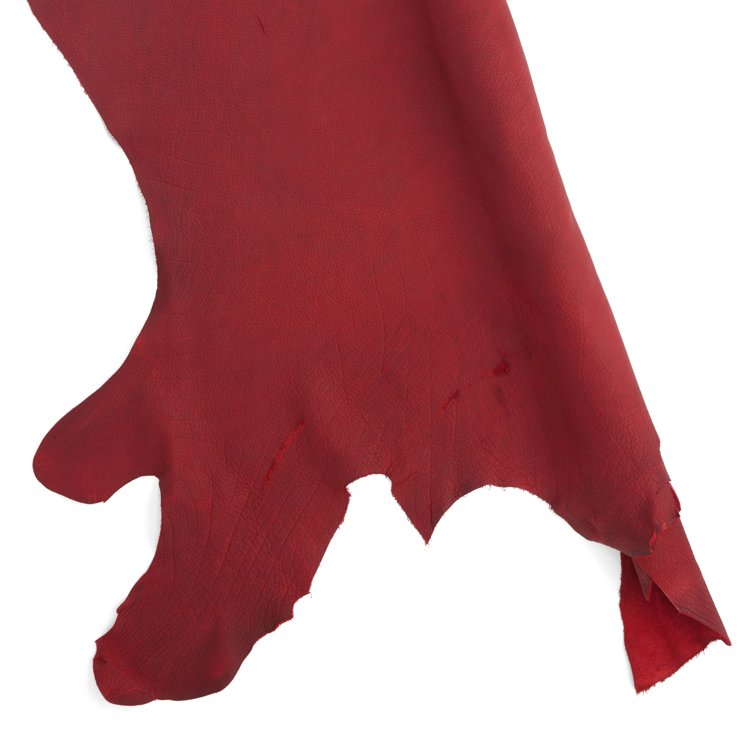 Bison Side - Image 11