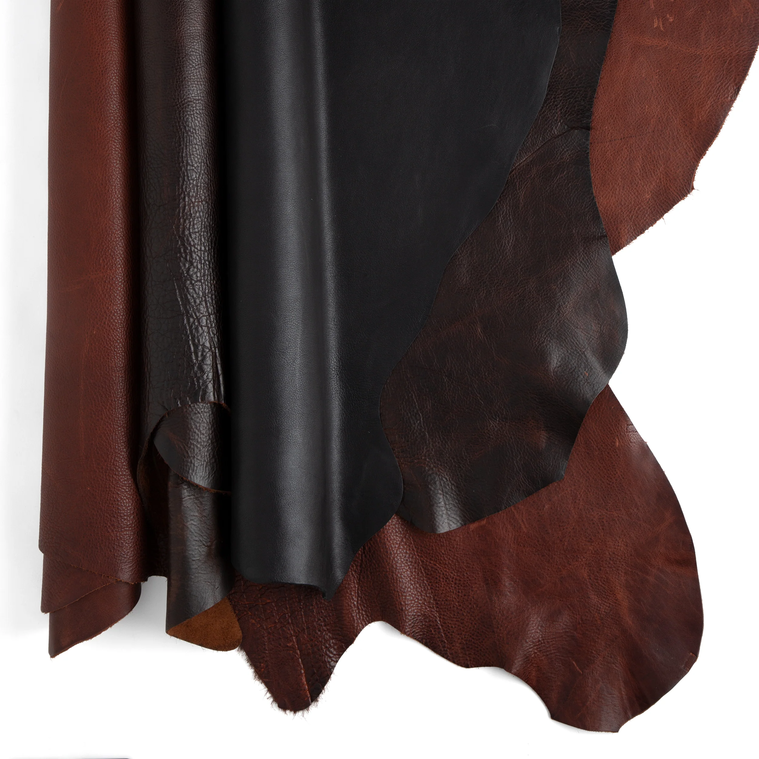 Bulldog Side - Image 3