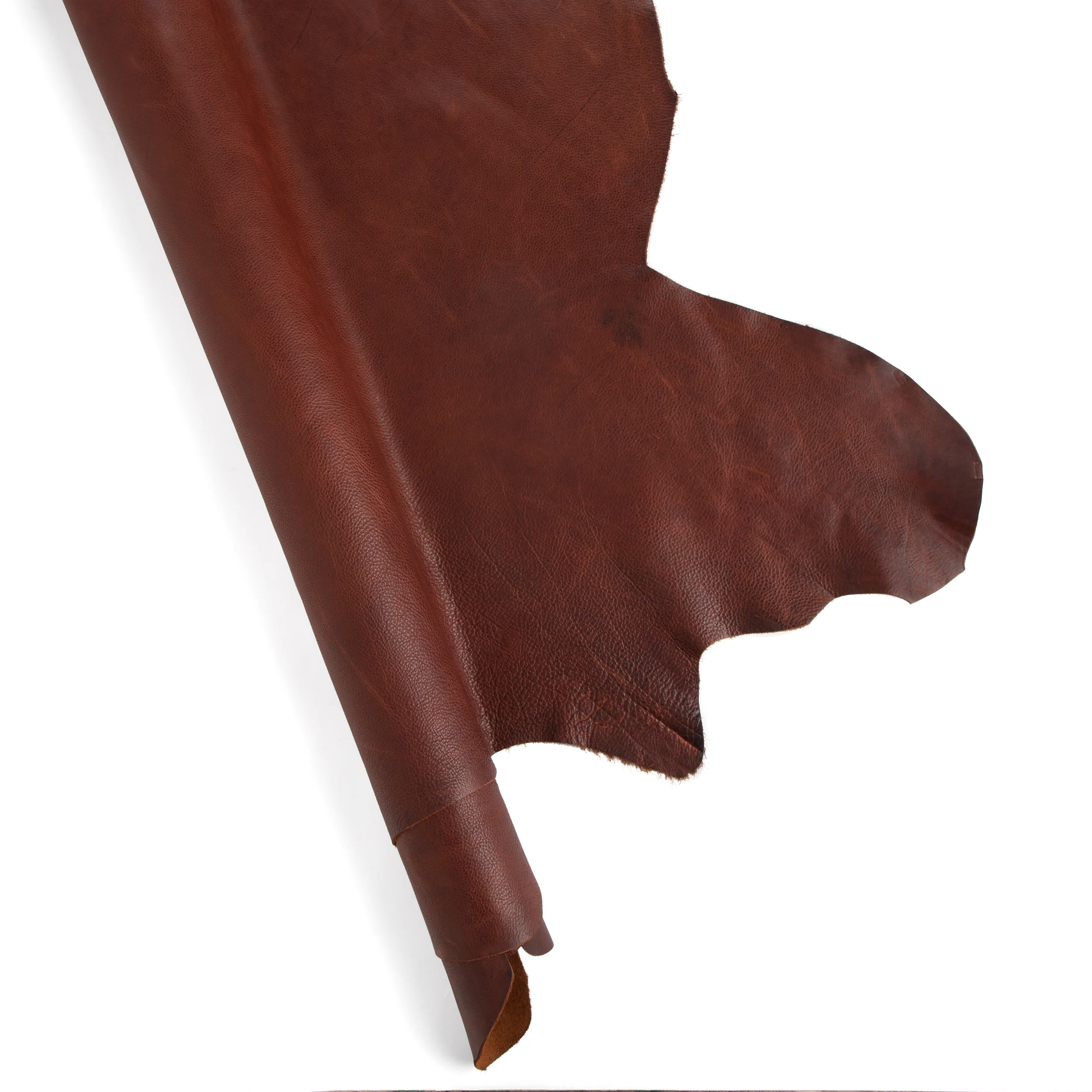 Bulldog Side - Image 7