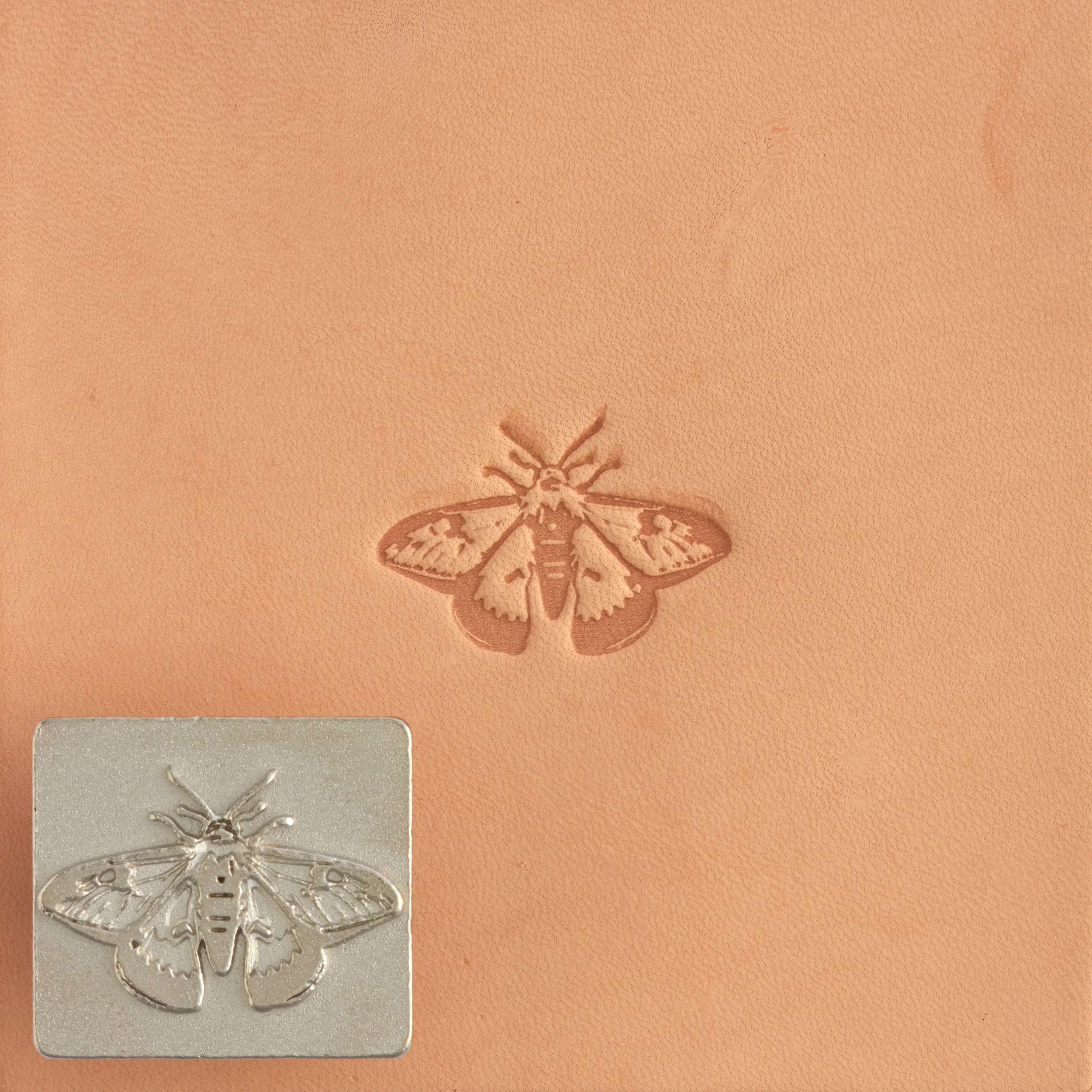 Craftool® Stamp Head Moth