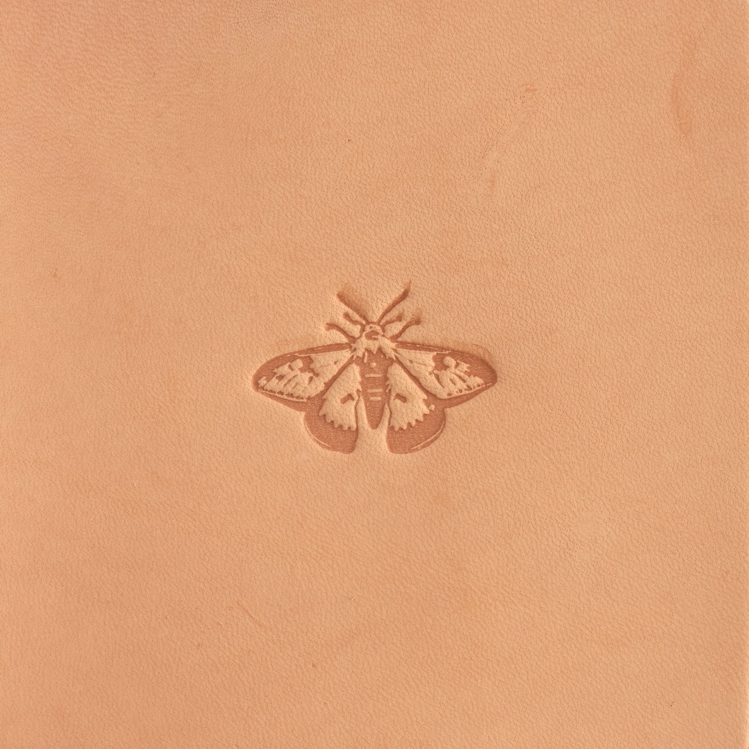 Craftool® Stamp Head Moth - Image 2