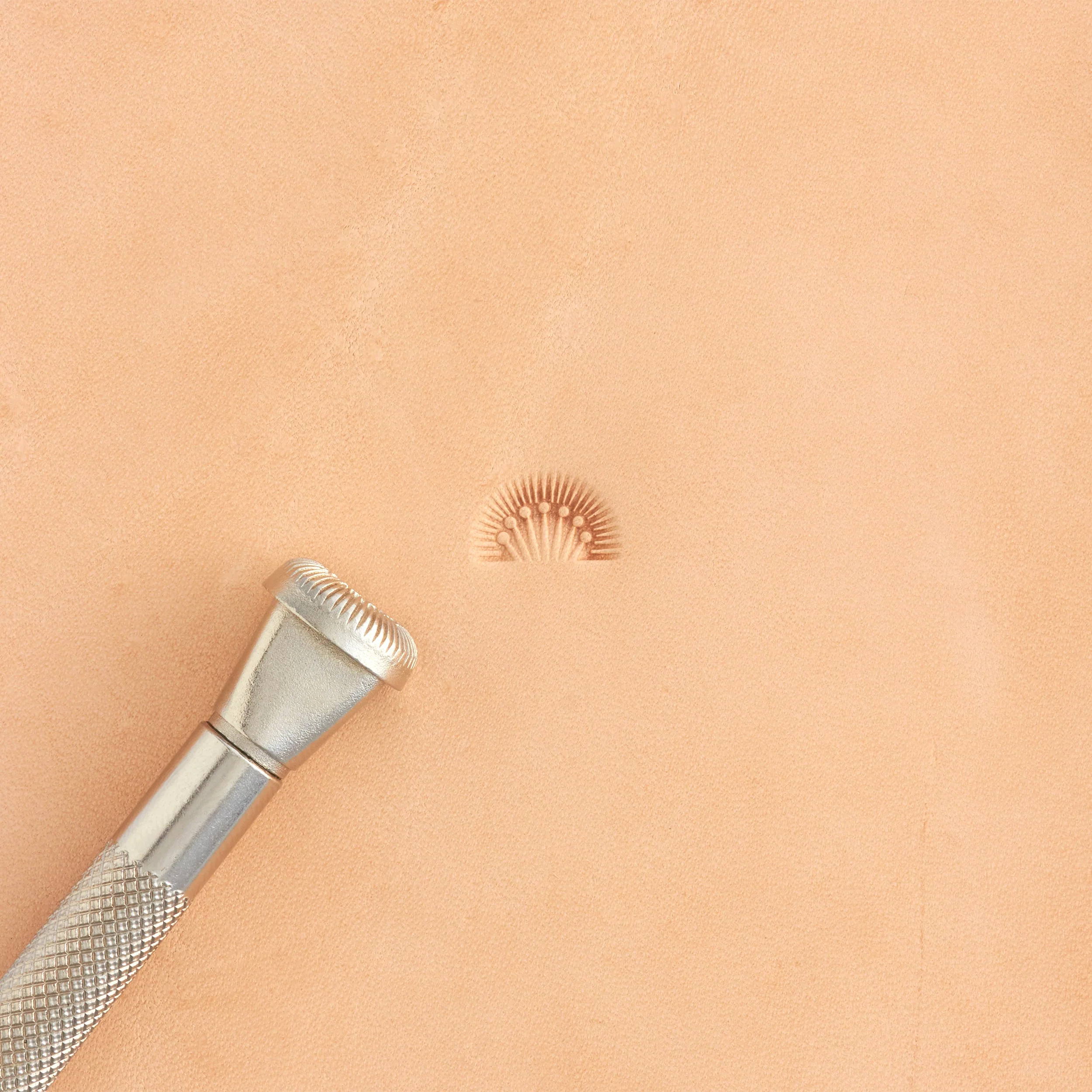 Craftool® Seed Crescent Border Stamp