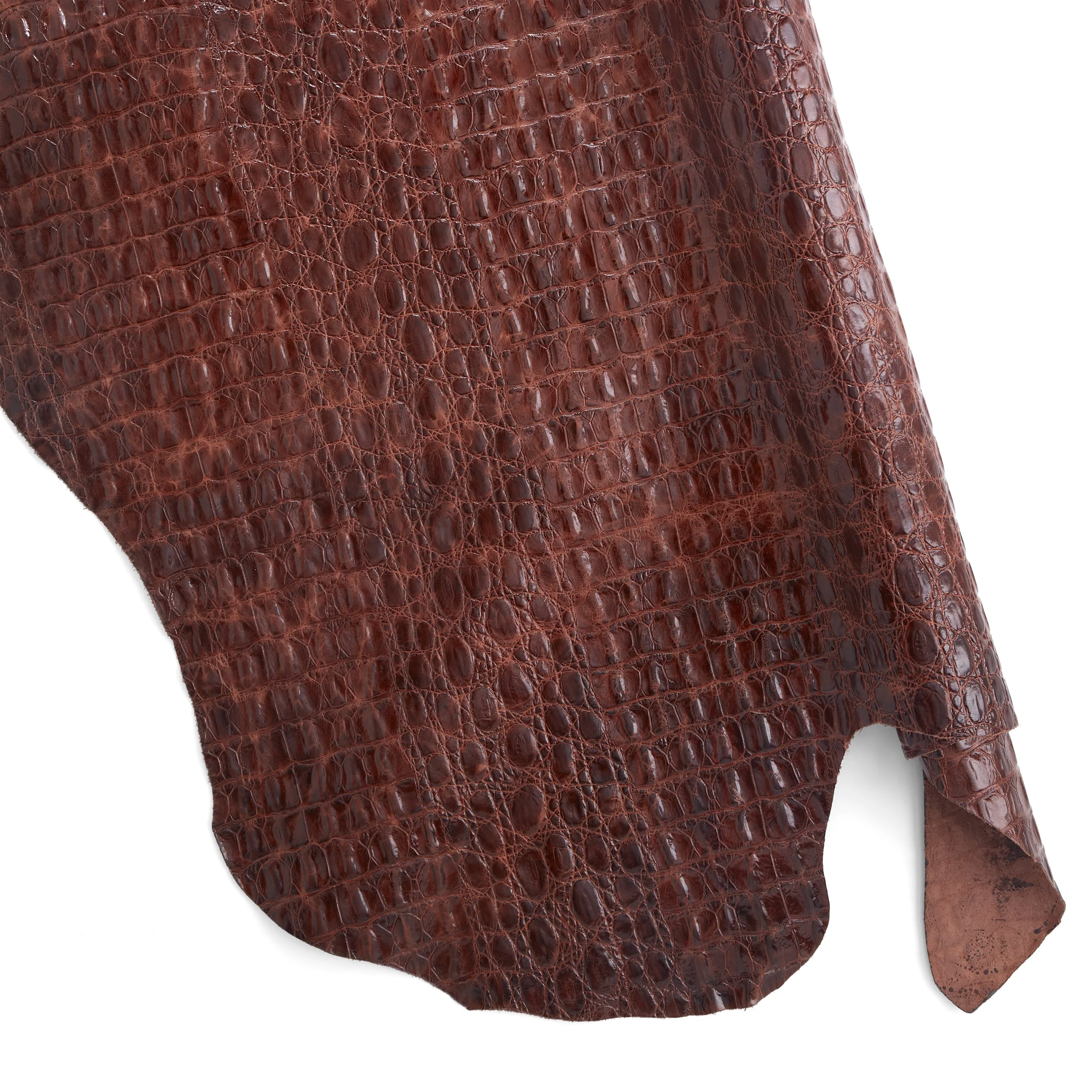 Croco Embossed Side Light Brown - Image 2