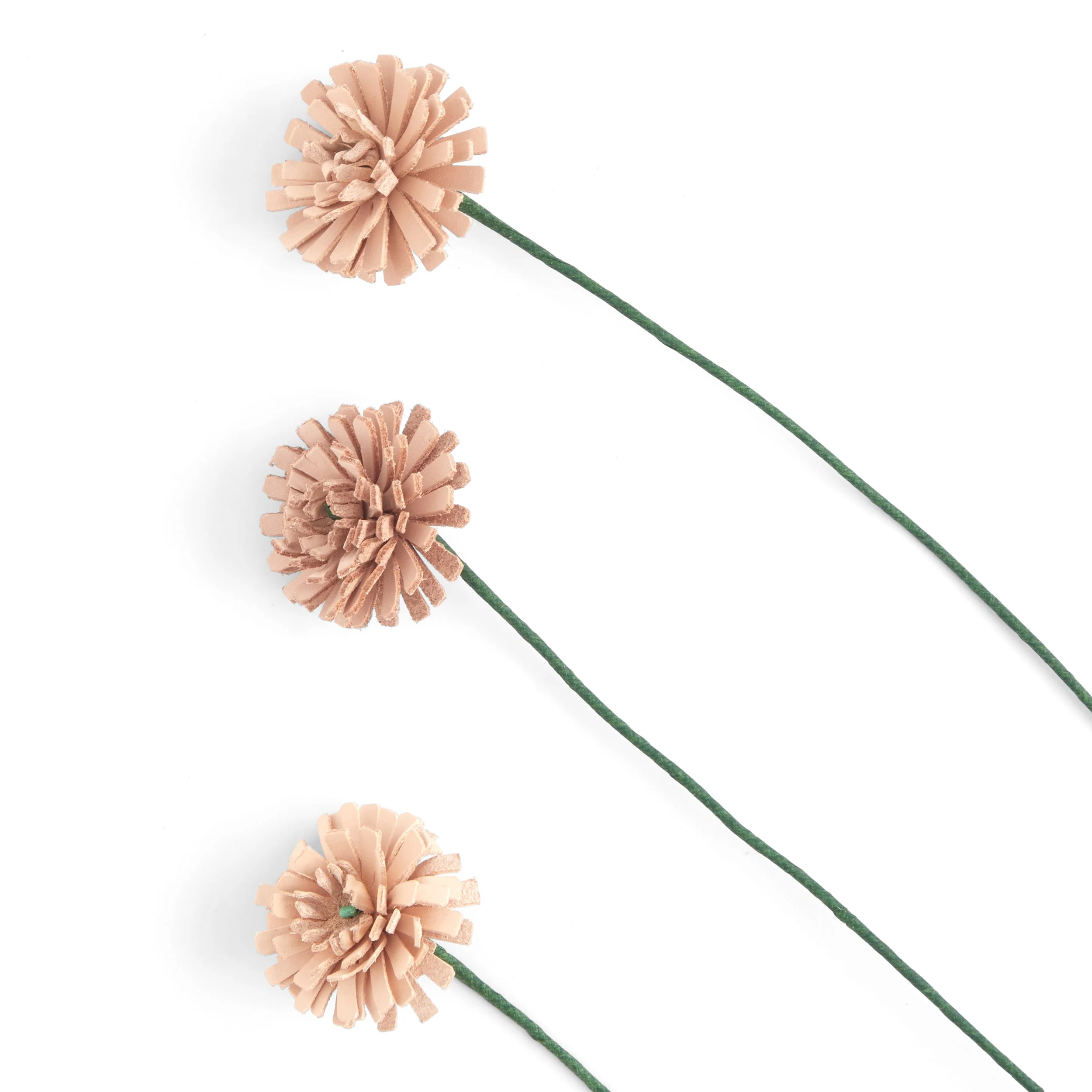 Dandelion Kit 3 Pack - Image 3