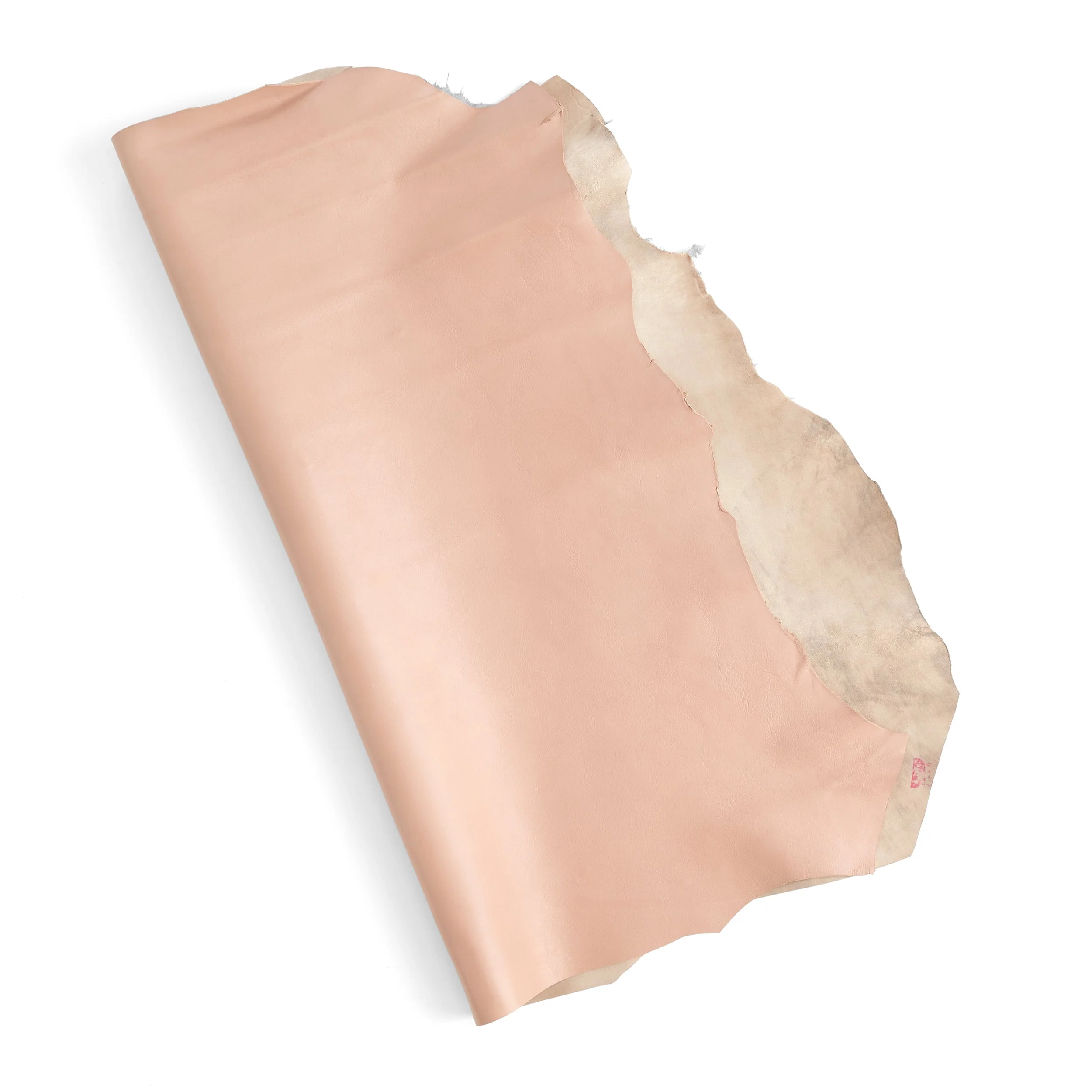 Designer Small Skin Beige - Image 15