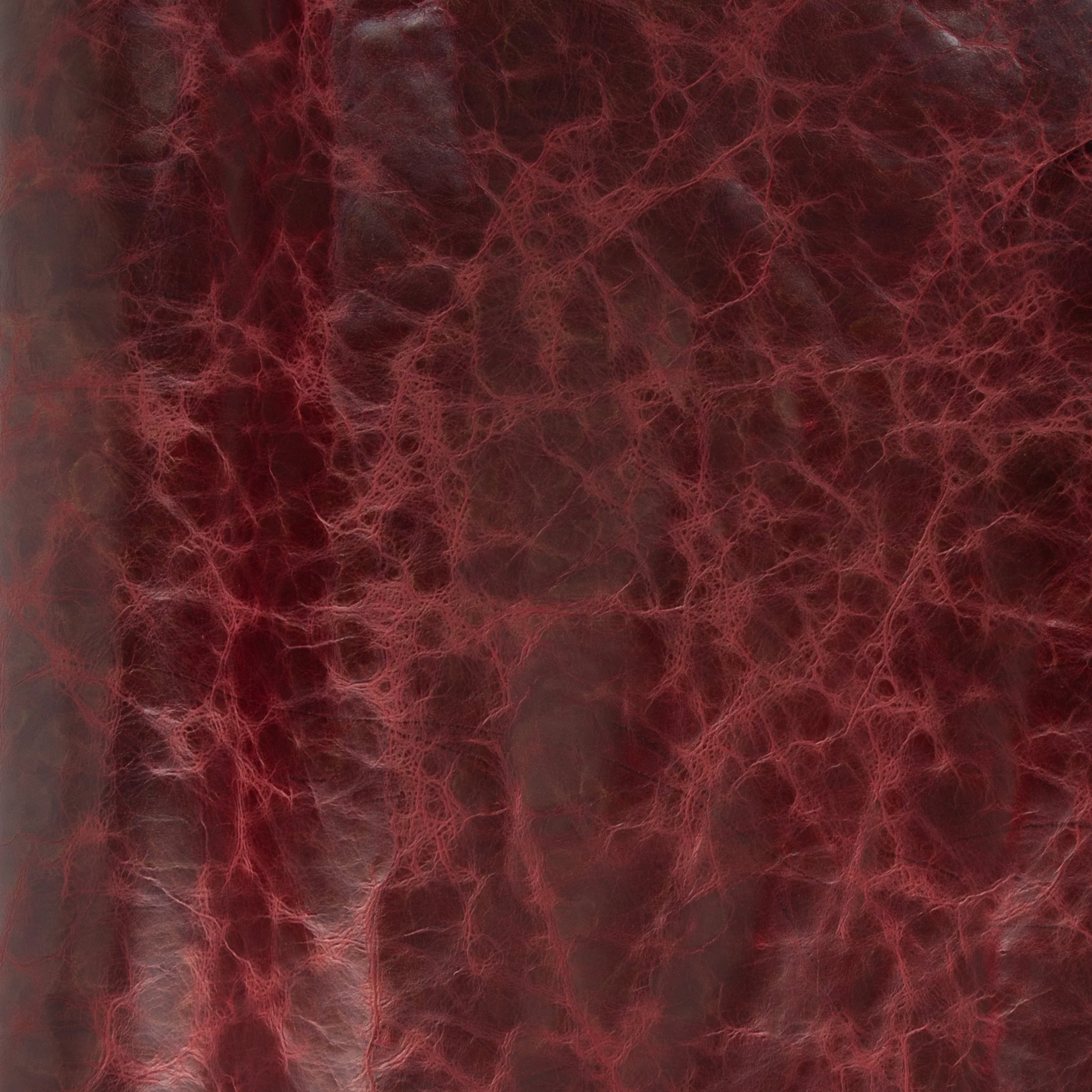 Faraon Side - FINAL SALE - Image 3