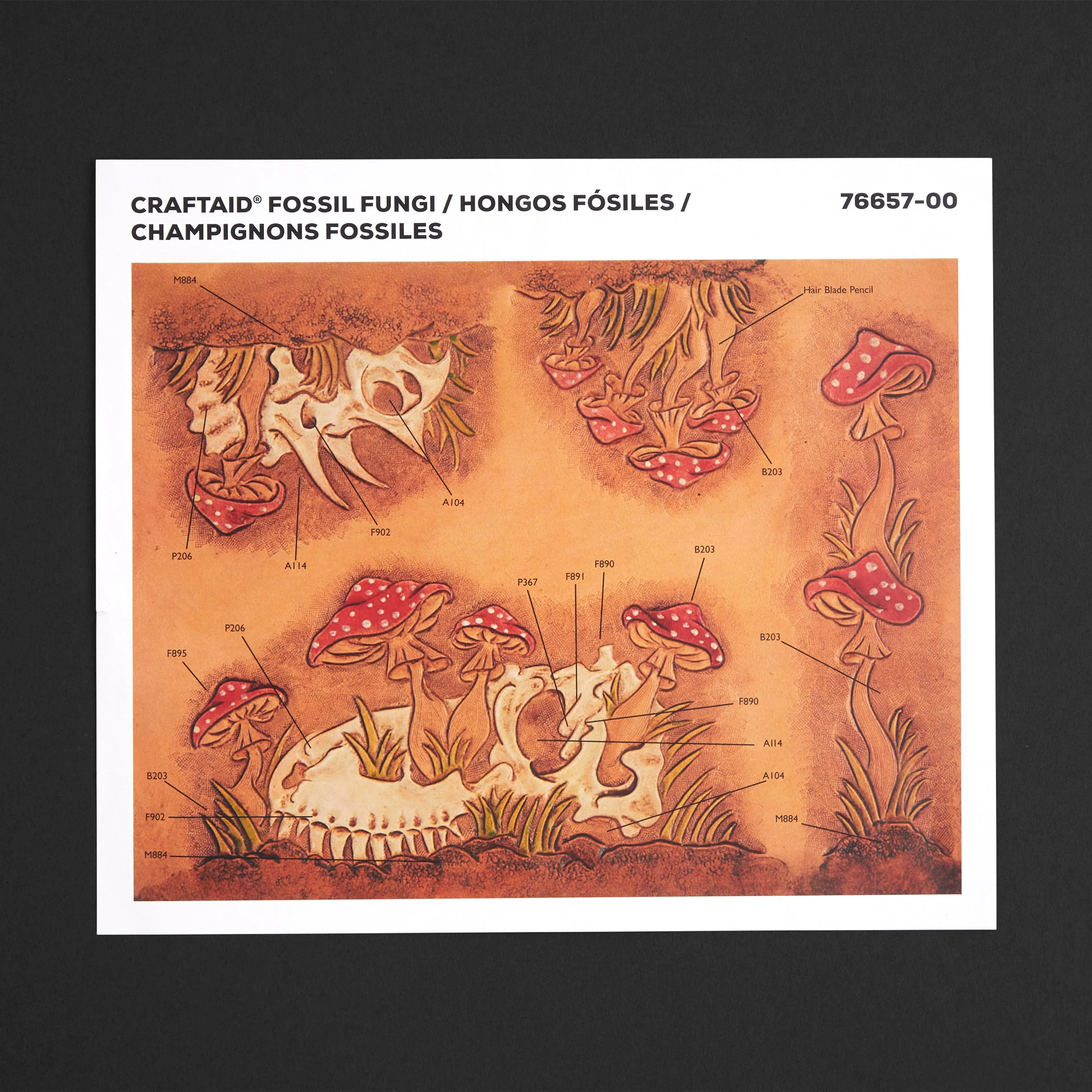 Fossil Fungi Craftaid®