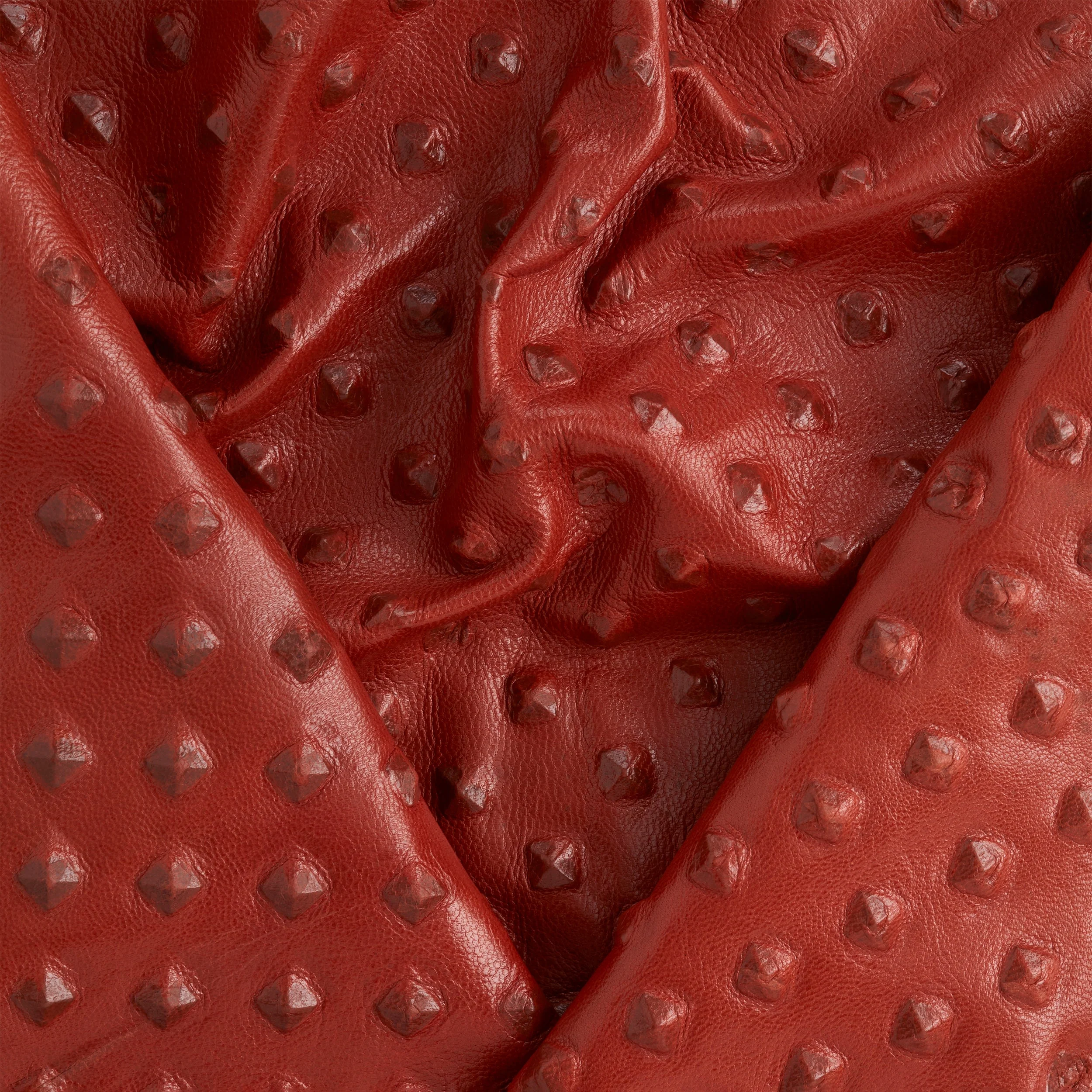 Gladiator Embossed Goatskin - FINAL SALE - Image 16