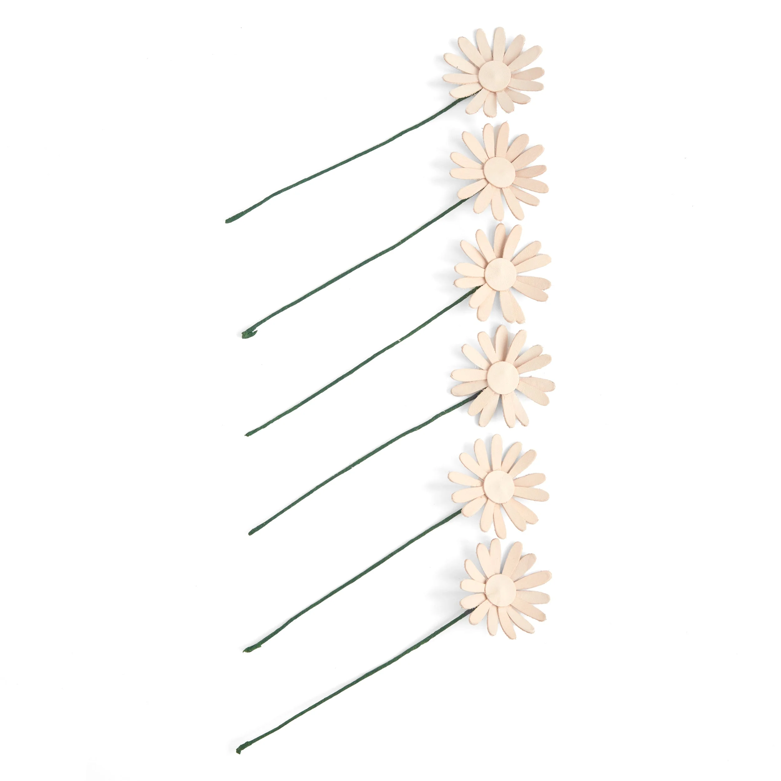 Daisy Kit 6 Pack - Image 2
