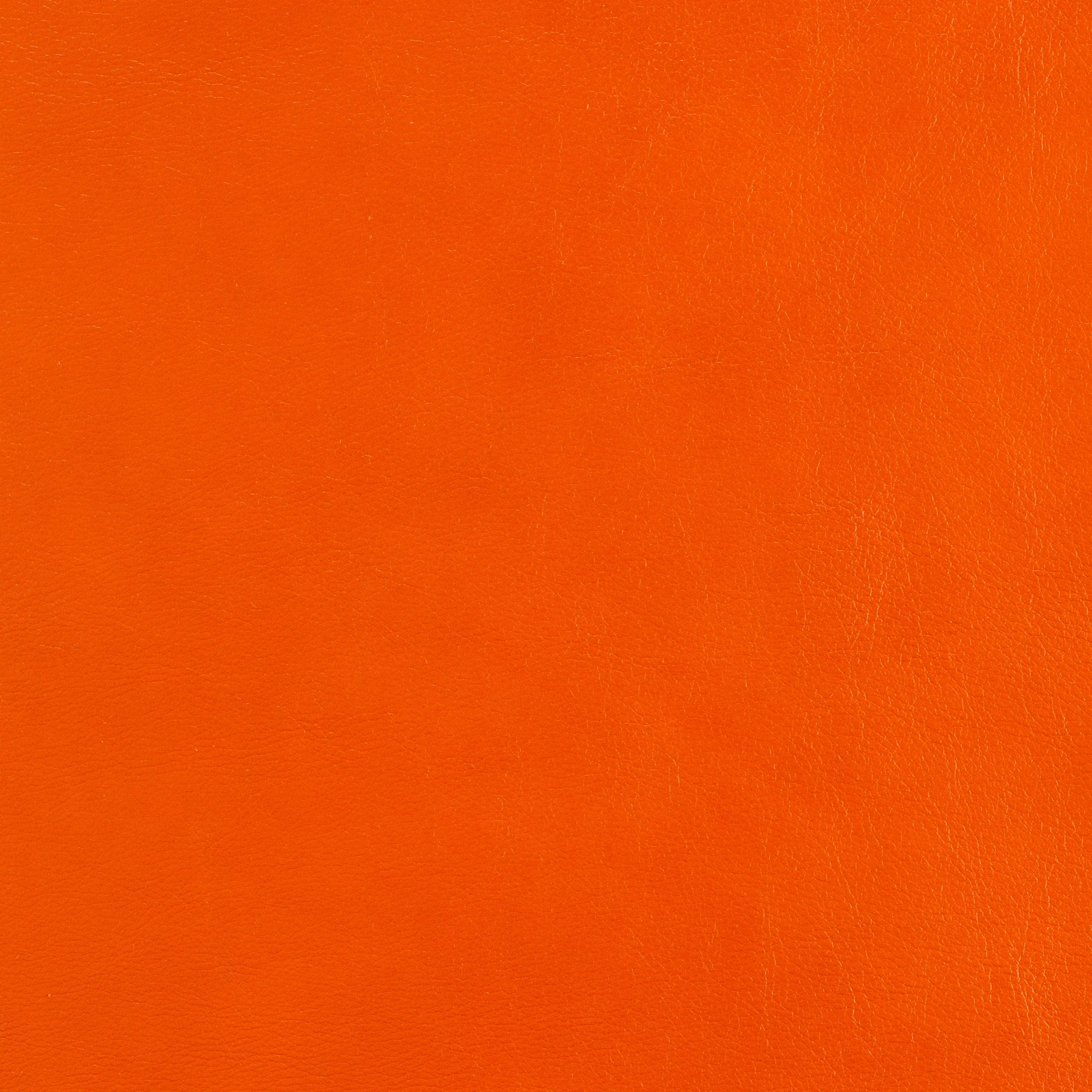 Kaleidoscope Classic Whole Hides - Image 10