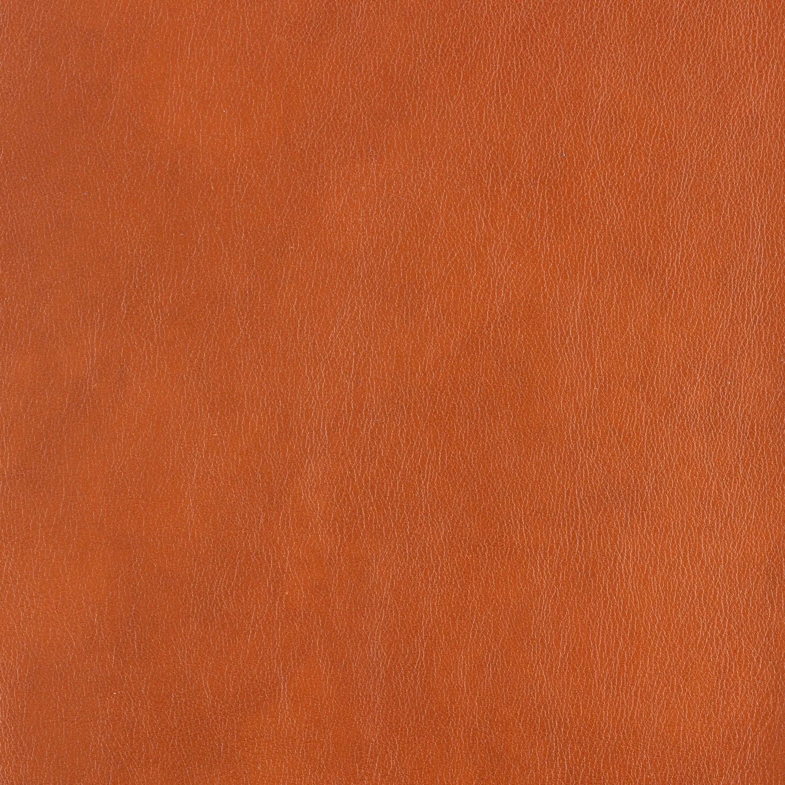 Kaleidoscope Classic Whole Hides - Image 6