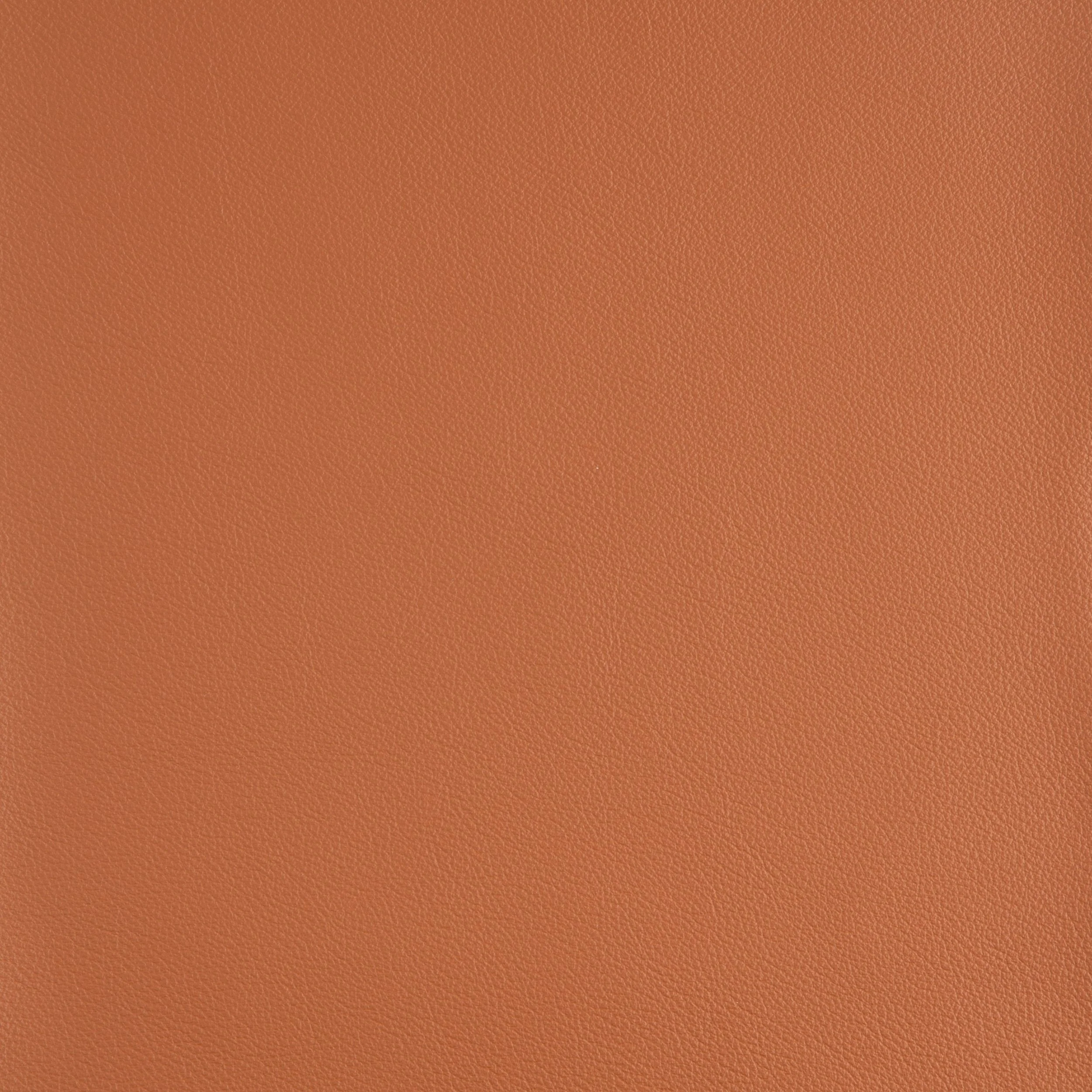 Kaleidoscope Linea Whole Hides - Brights - Image 28