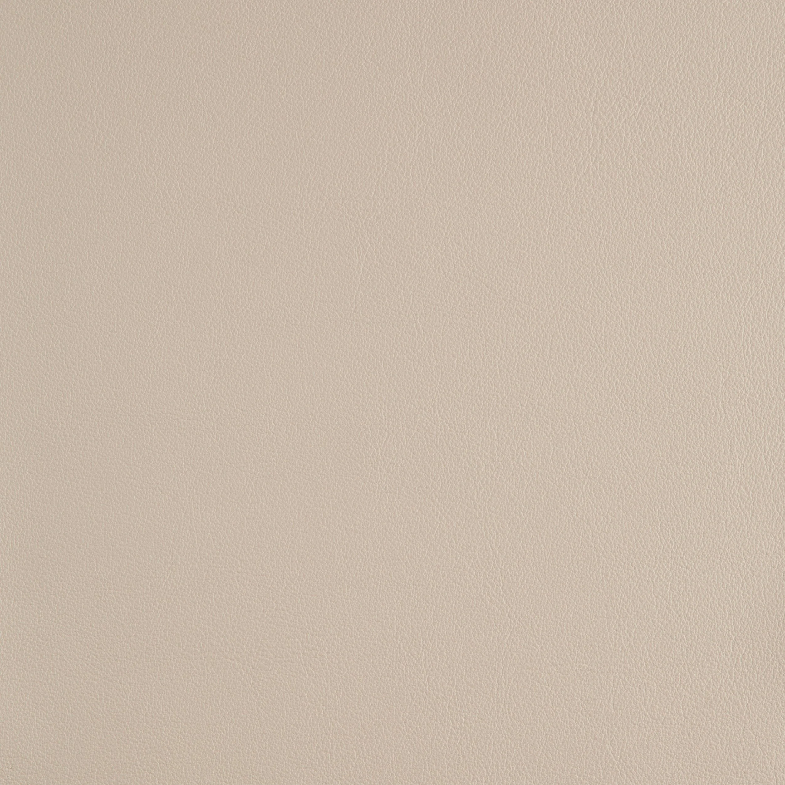 Kaleidoscope Linea Whole Hides - Neutrals - Image 11
