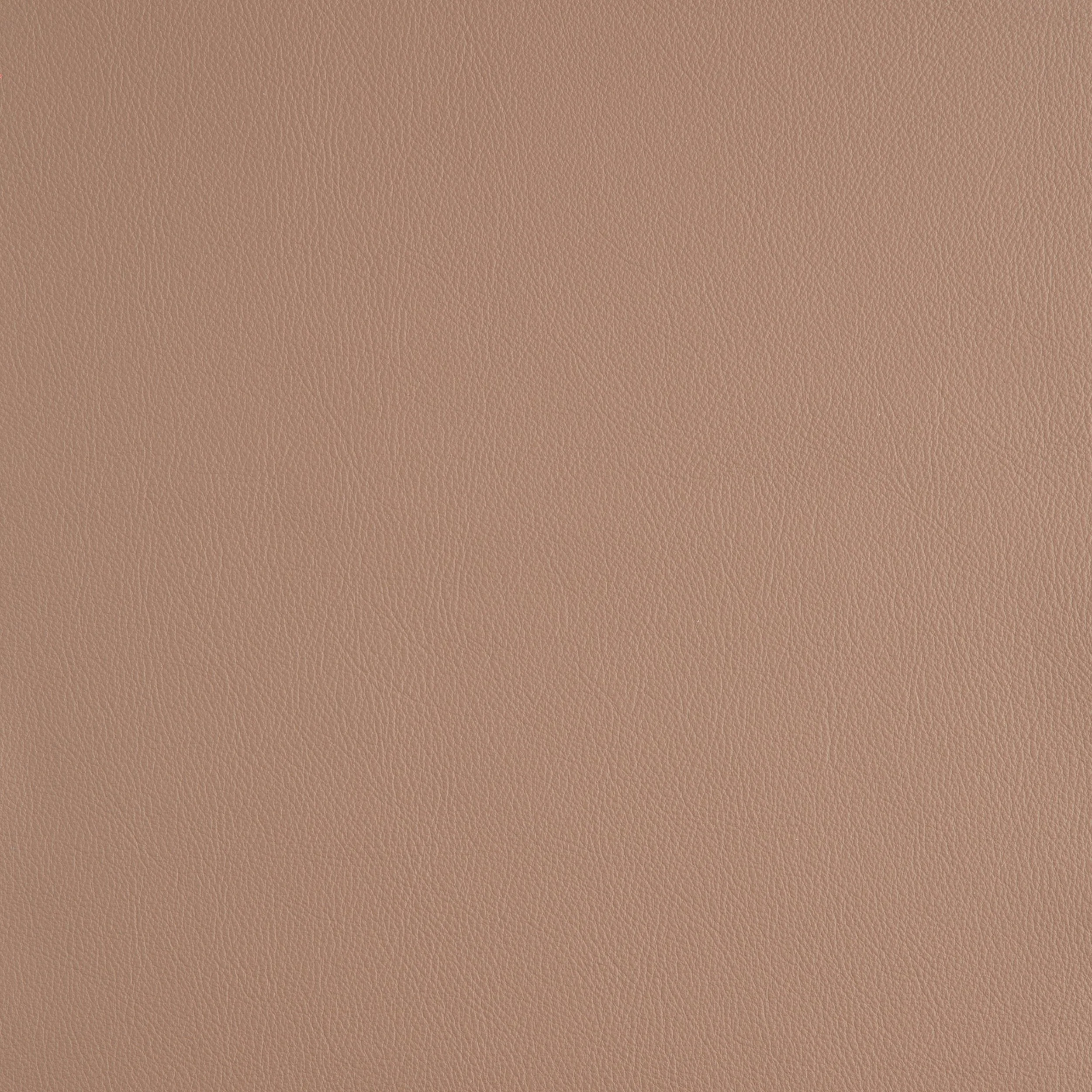 Kaleidoscope Linea Whole Hides - Neutrals - Image 12