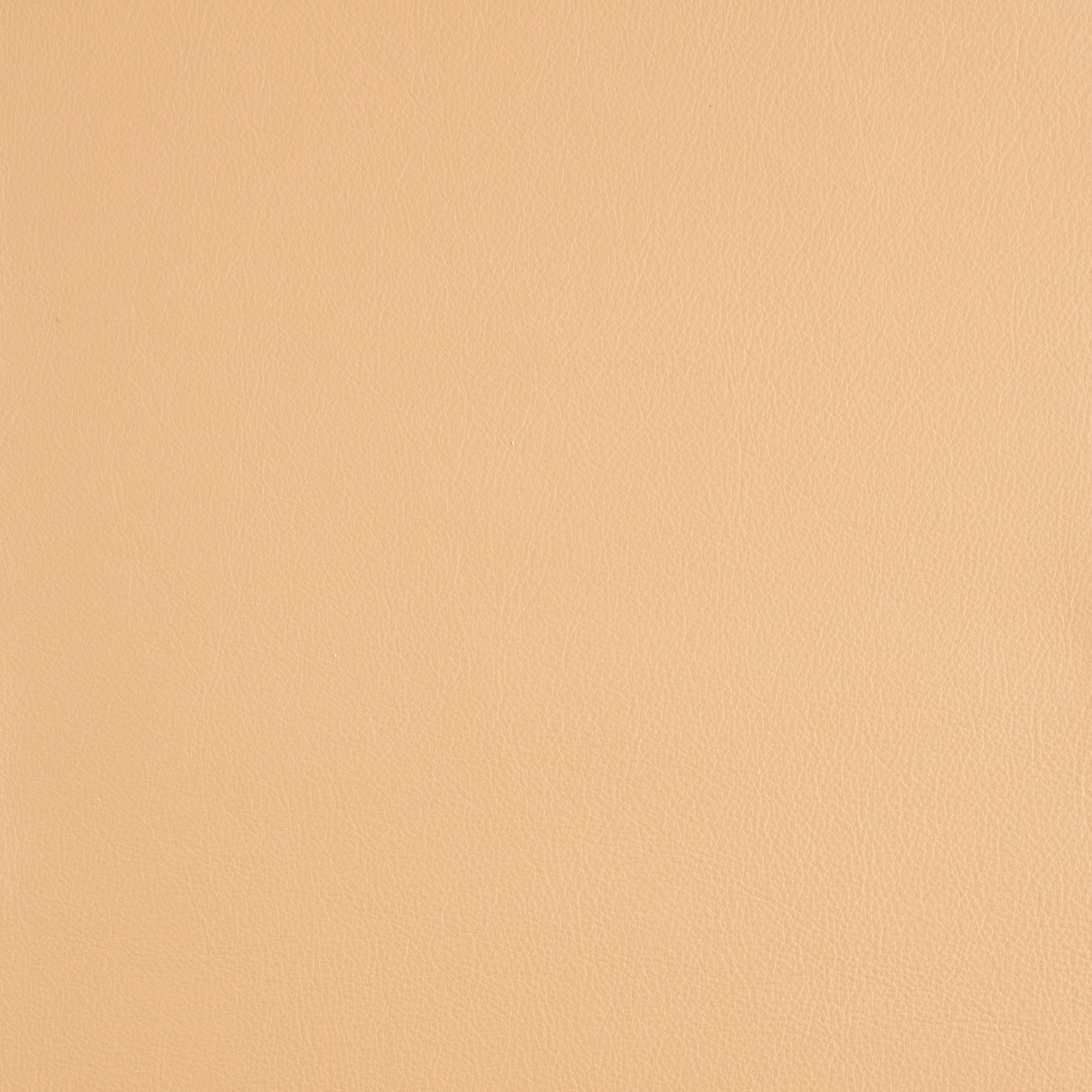 Kaleidoscope Linea Whole Hides - Neutrals - Image 13