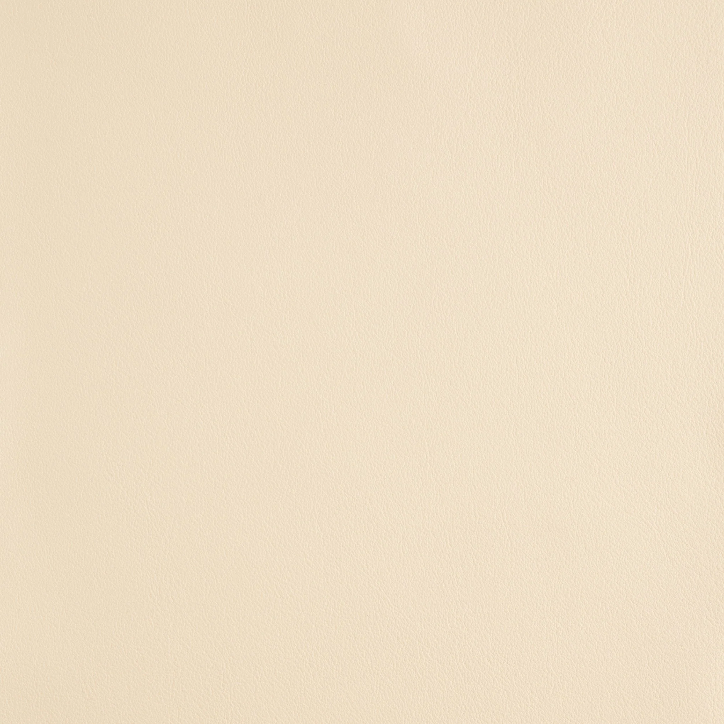 Kaleidoscope Linea Whole Hides - Neutrals - Image 19