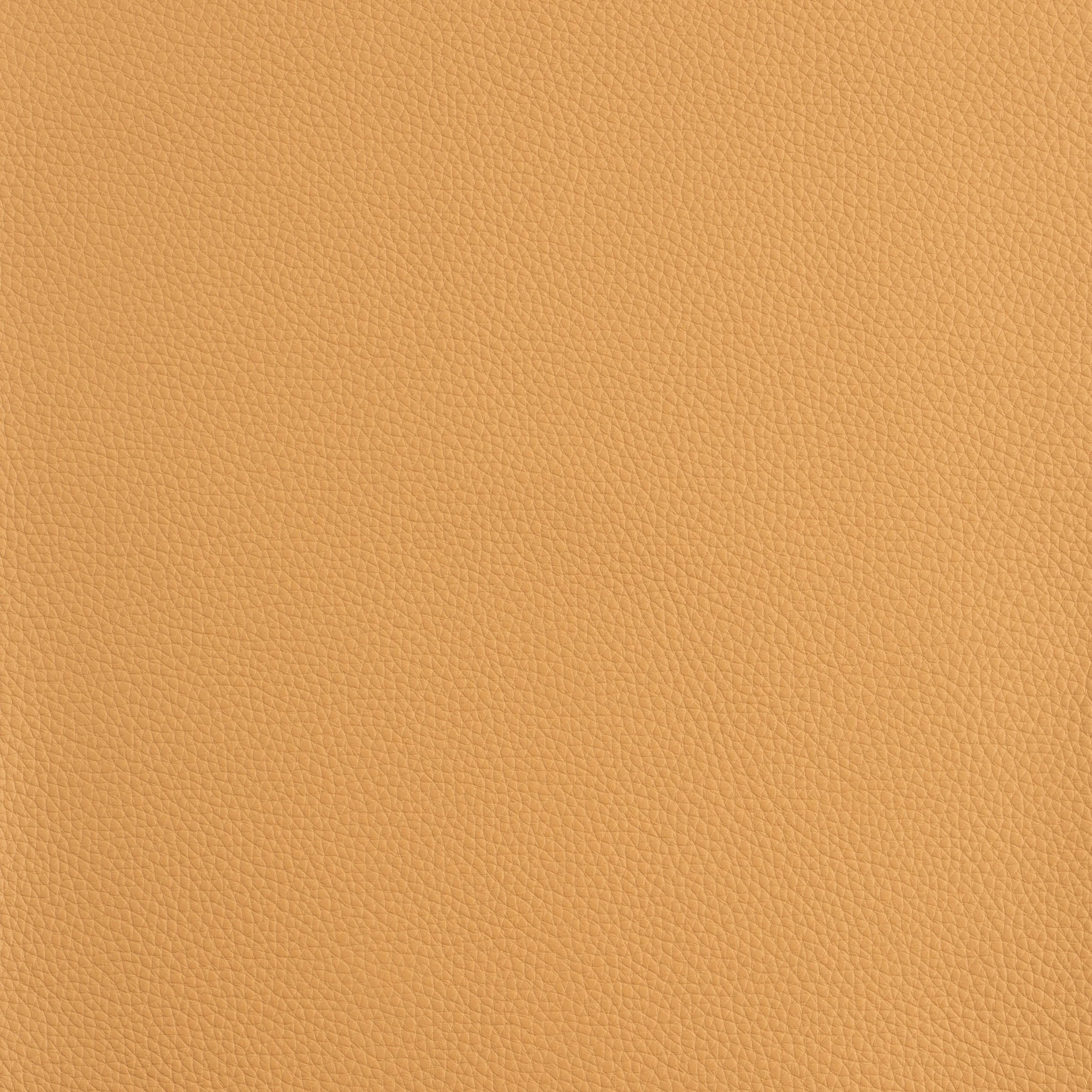 Kaleidoscope Prescott Whole Hides - Warm Tones - Image 12