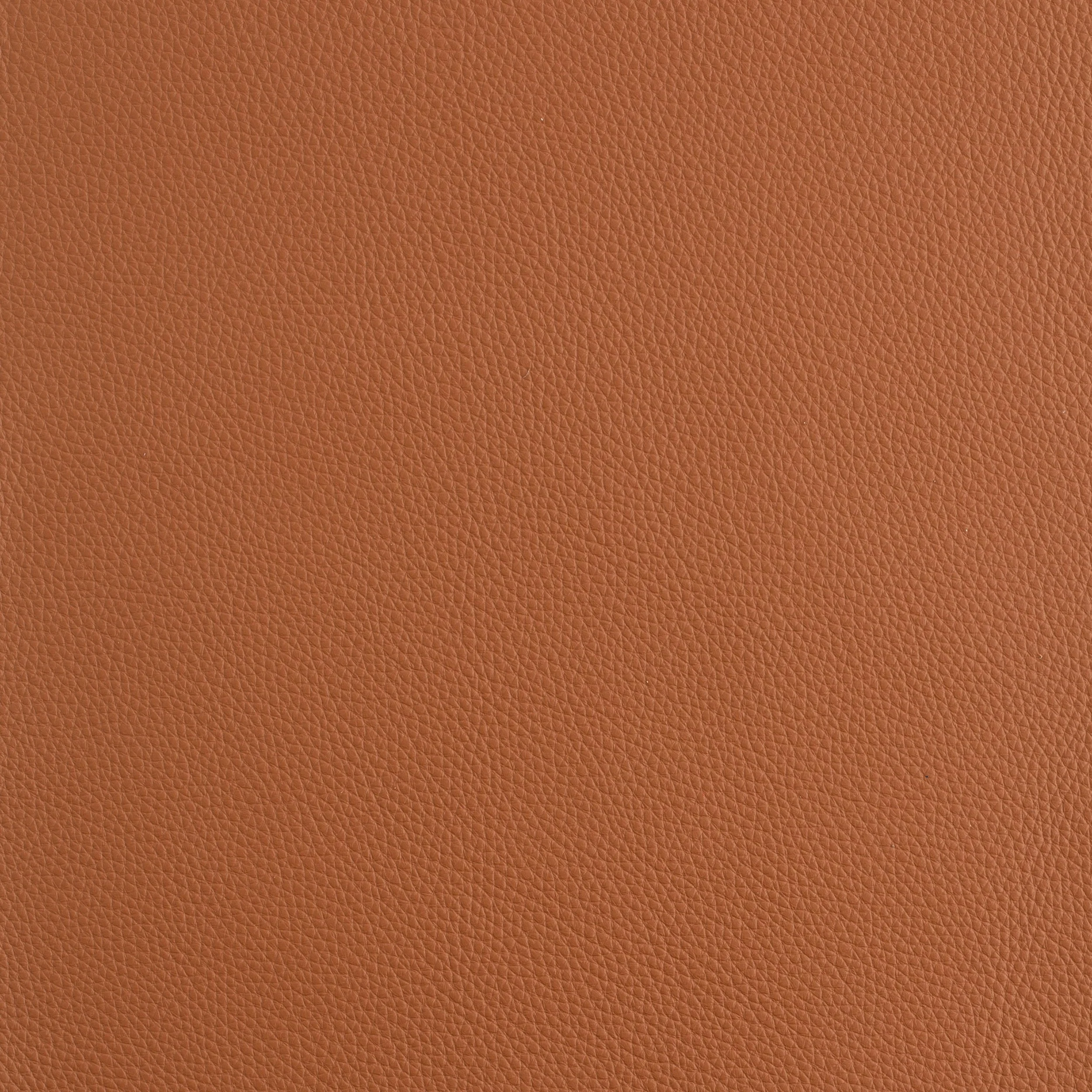 Kaleidoscope Prescott Whole Hides - Warm Tones - Image 13