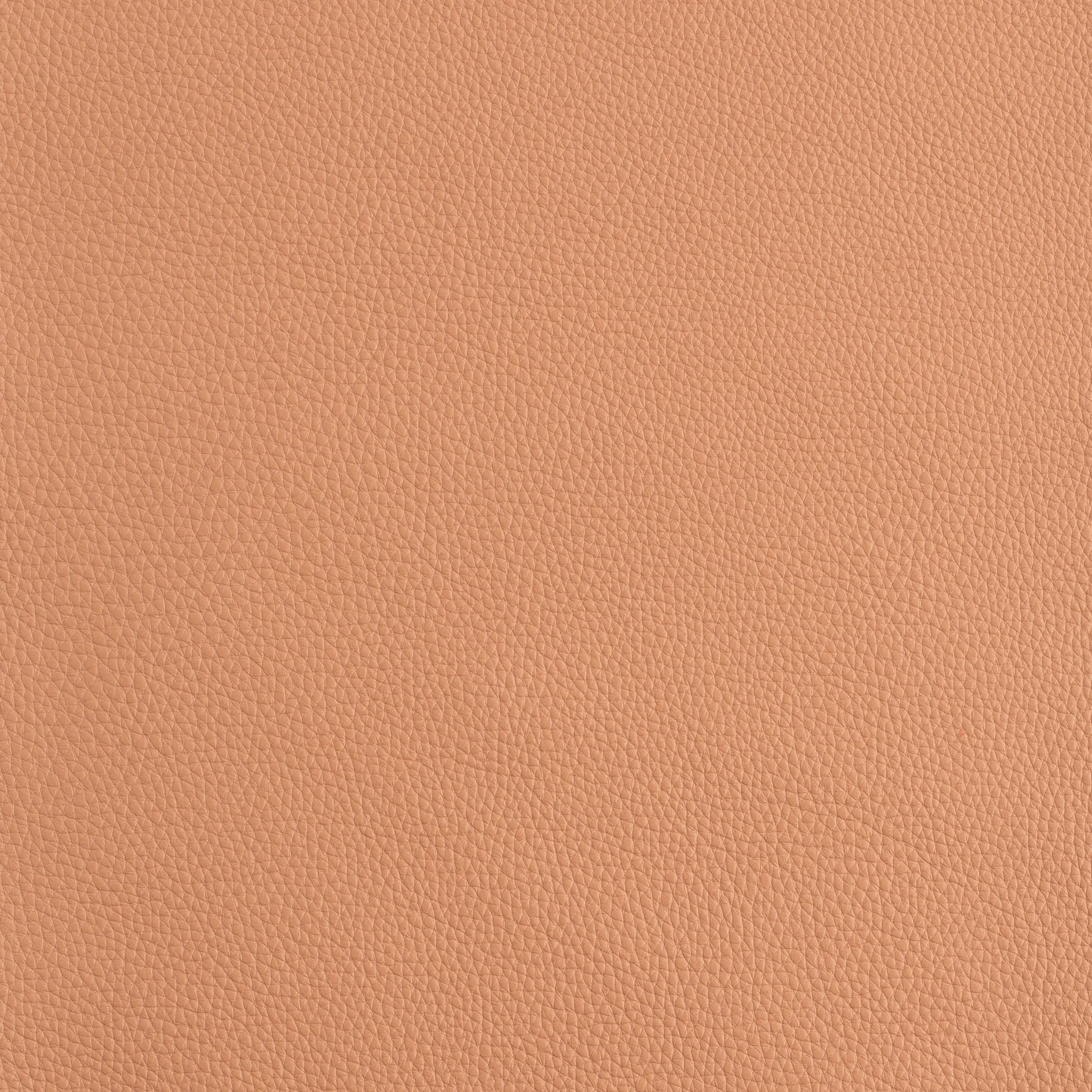 Kaleidoscope Prescott Whole Hides - Warm Tones - Image 16