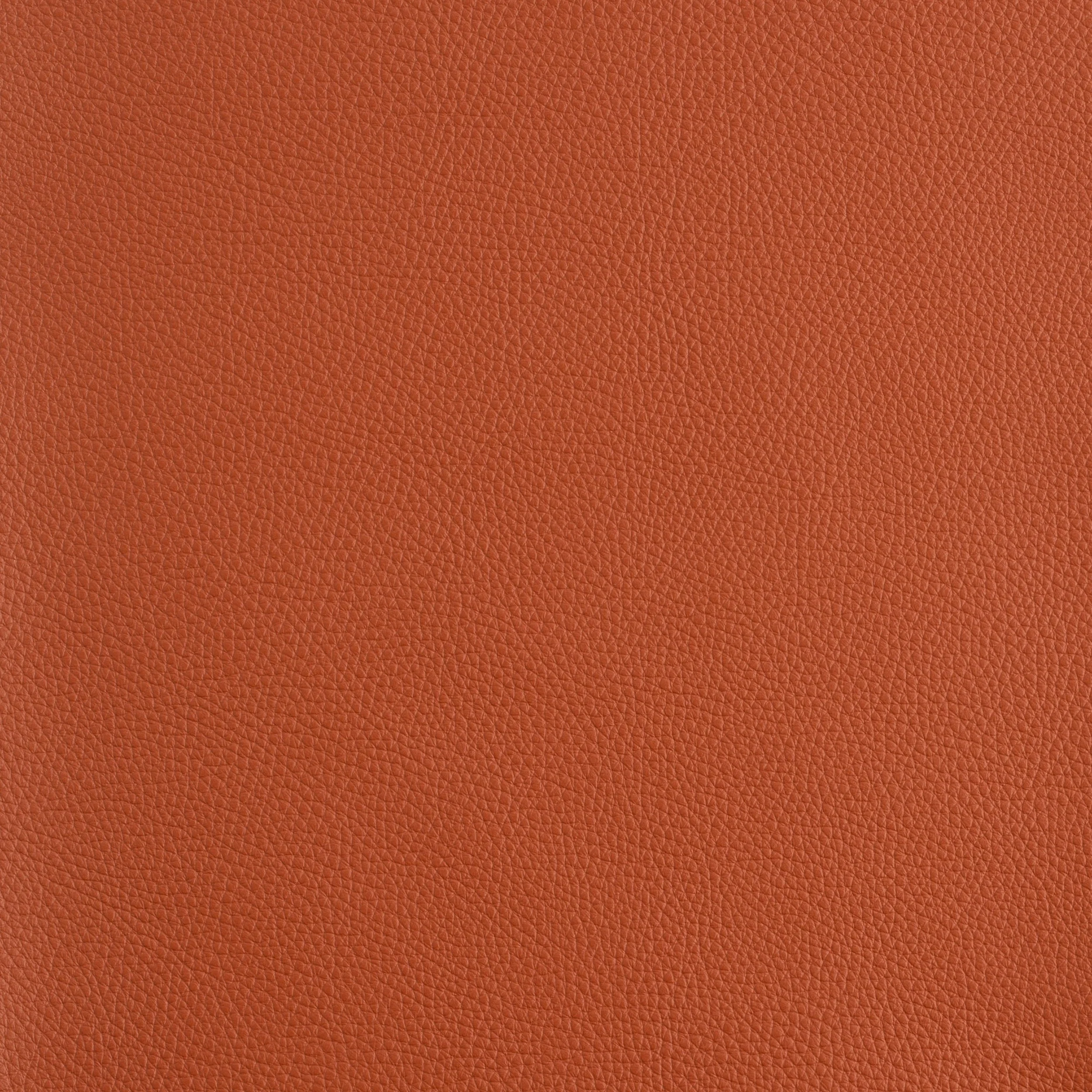 Kaleidoscope Prescott Whole Hides - Warm Tones - Image 17
