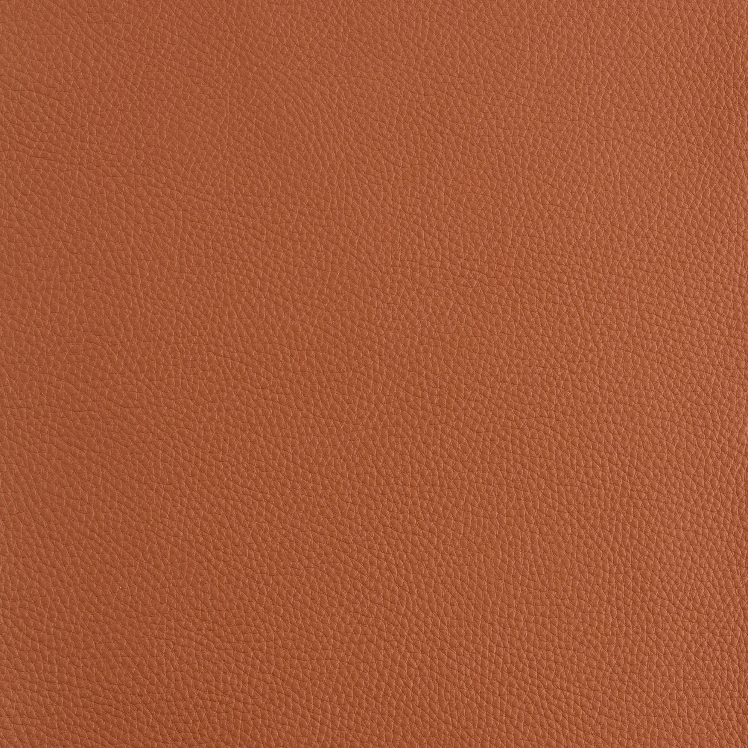 Kaleidoscope Prescott Whole Hides - Warm Tones - Image 18