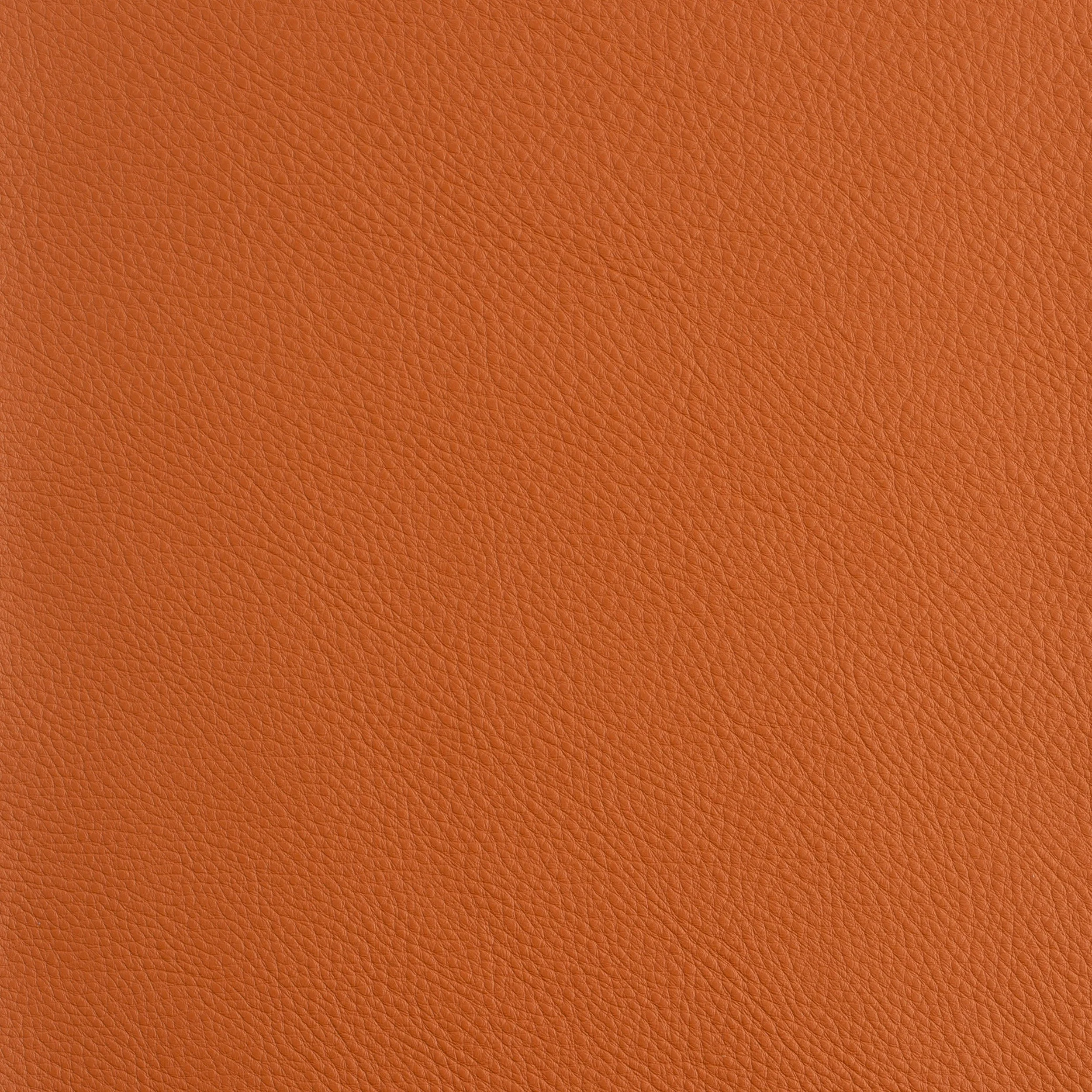Kaleidoscope Prescott Whole Hides - Warm Tones - Image 40