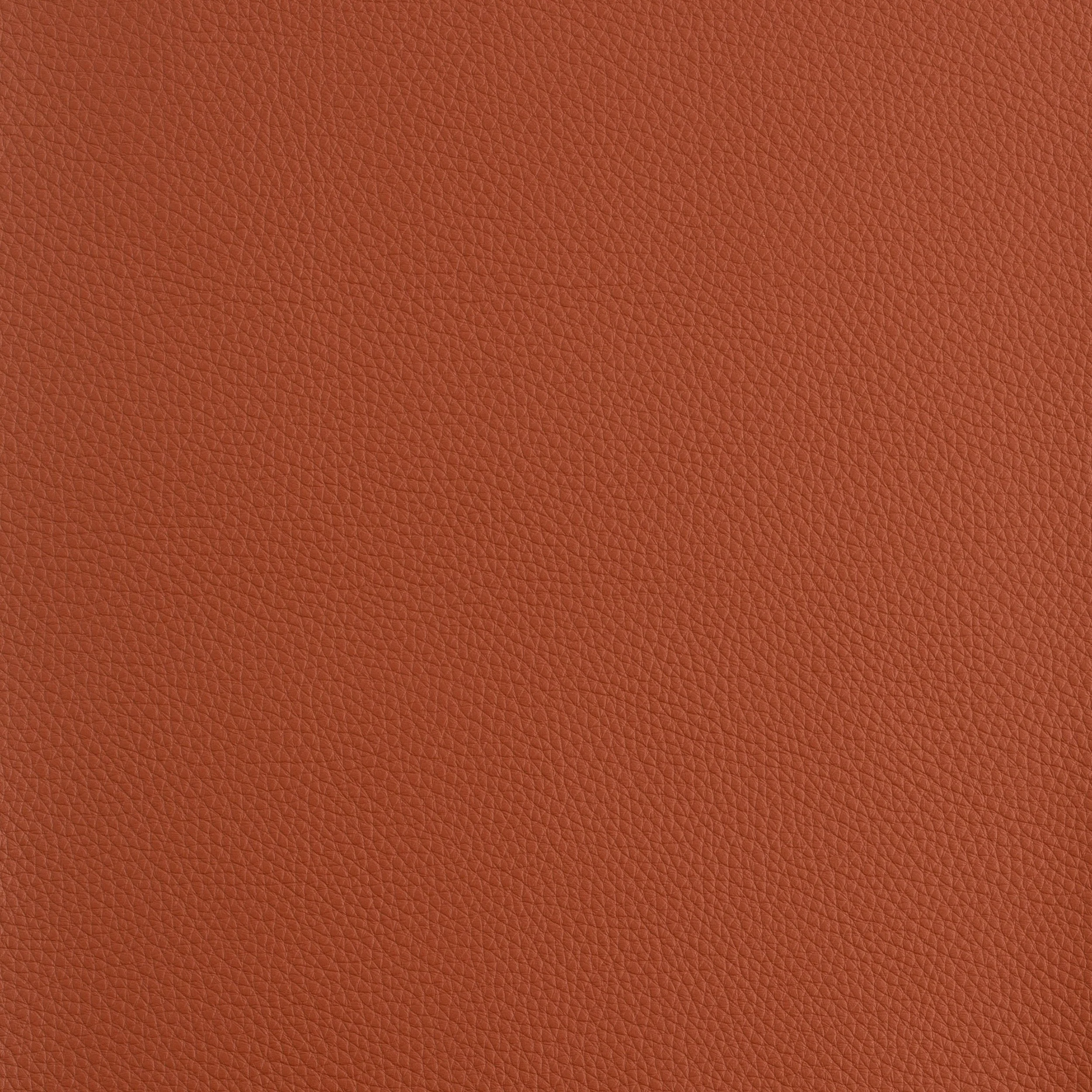 Kaleidoscope Prescott Whole Hides - Warm Tones - Image 51