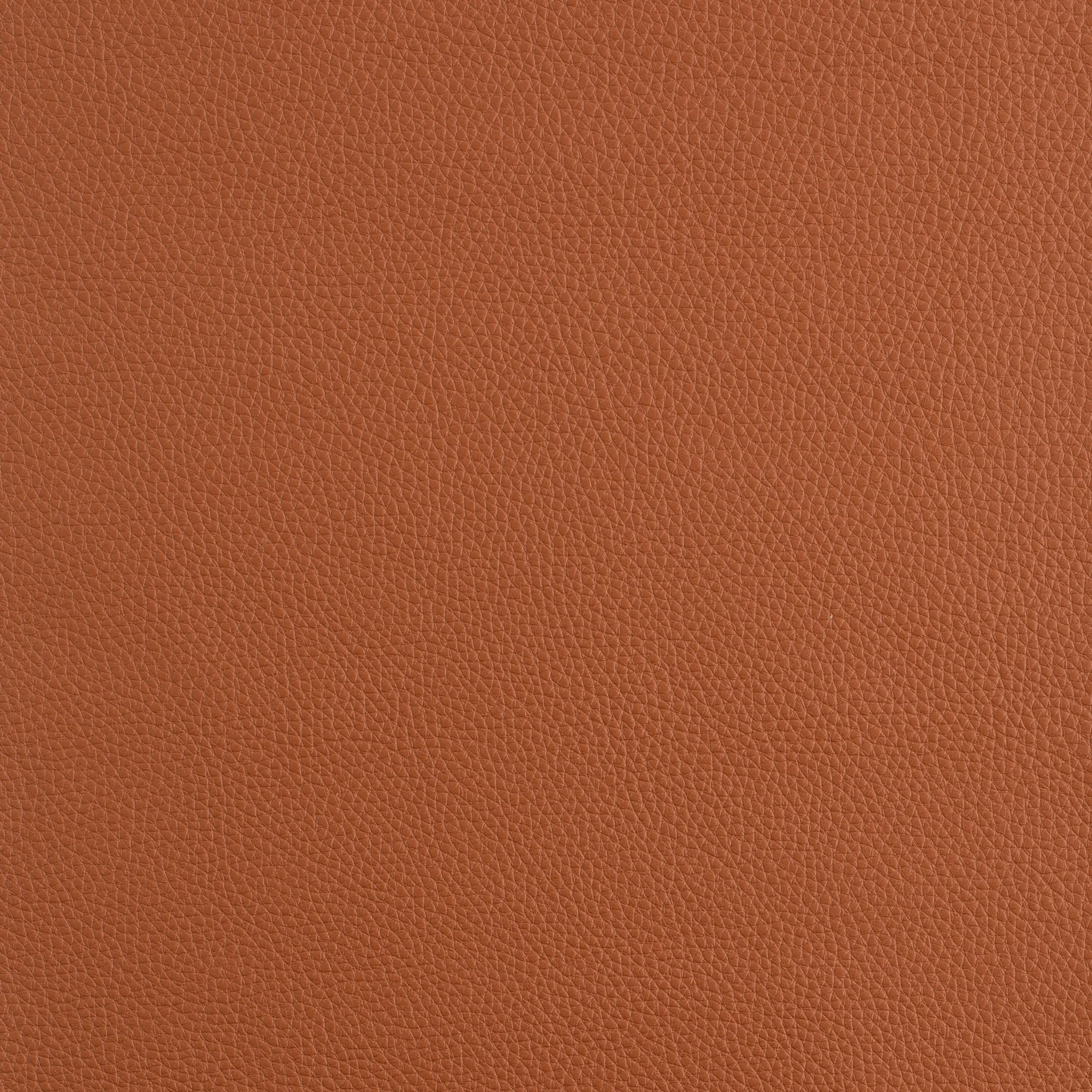Kaleidoscope Prescott Whole Hides - Warm Tones - Image 52