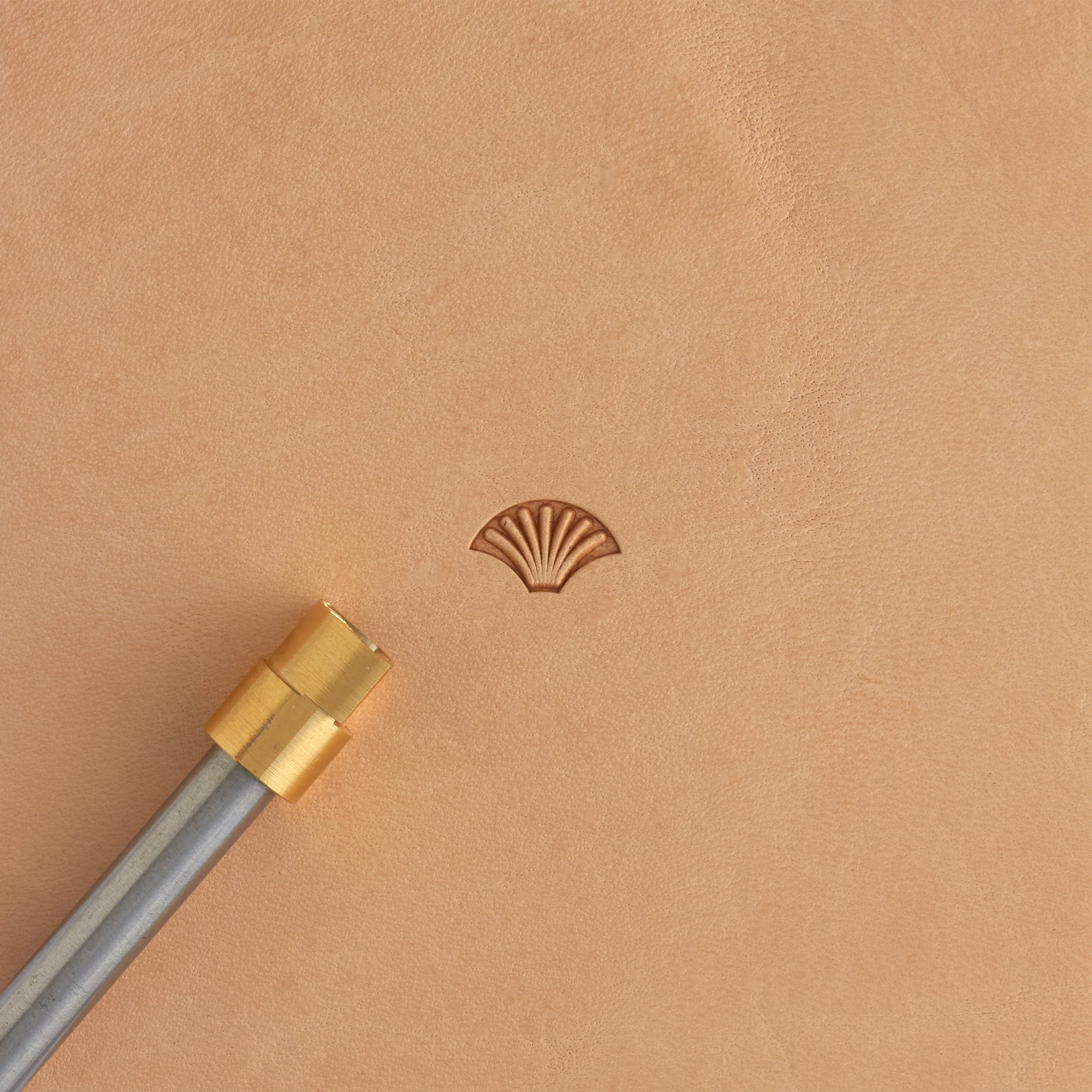 Lined Shell Brass Stamp