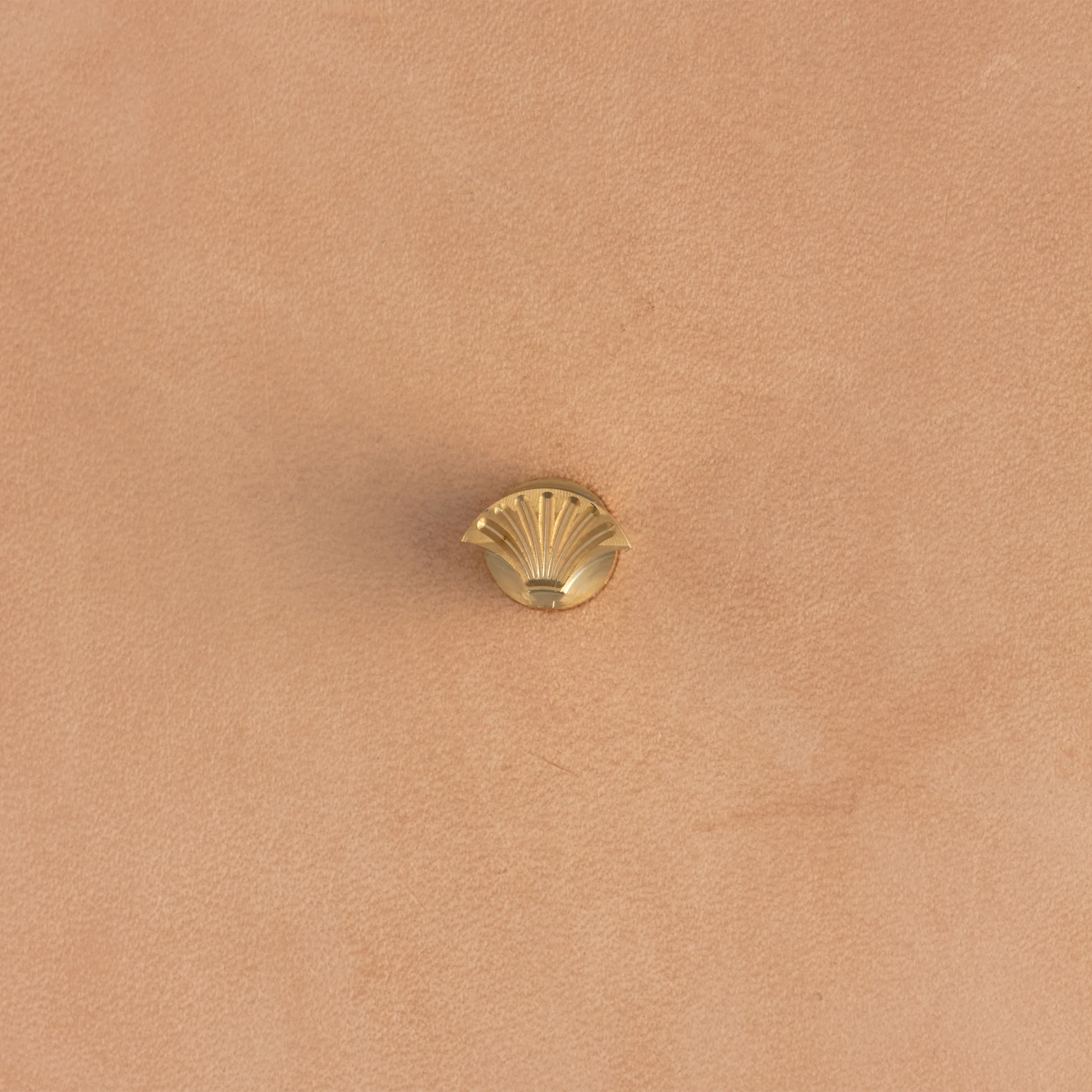 Lined Shell Brass Stamp - Image 3