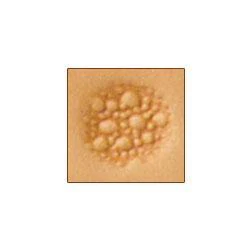 M882 Craftool® Matting Stamp