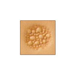 M882 Craftool® Matting Stamp - Image 2
