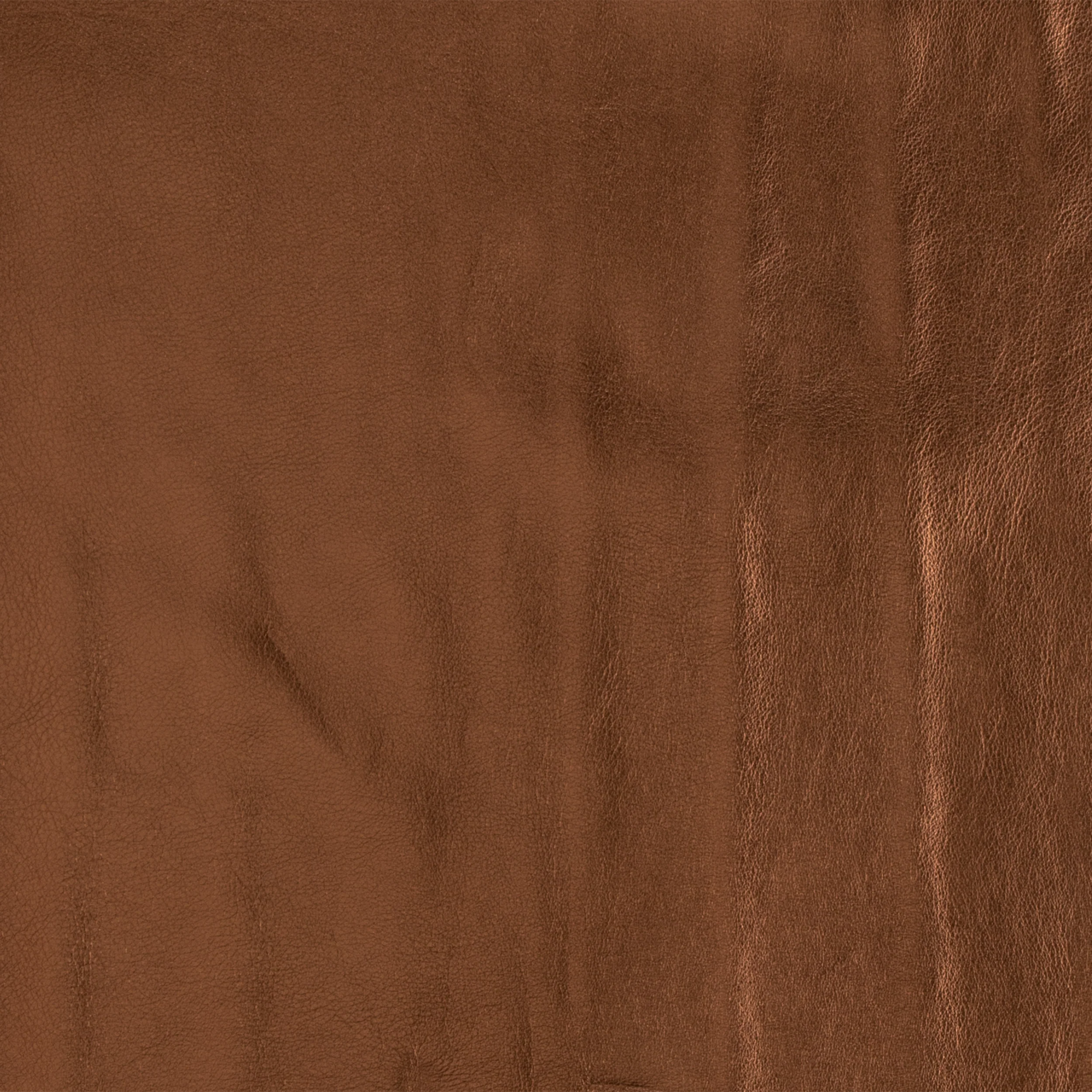 Metallic Cowhide Side - Image 8