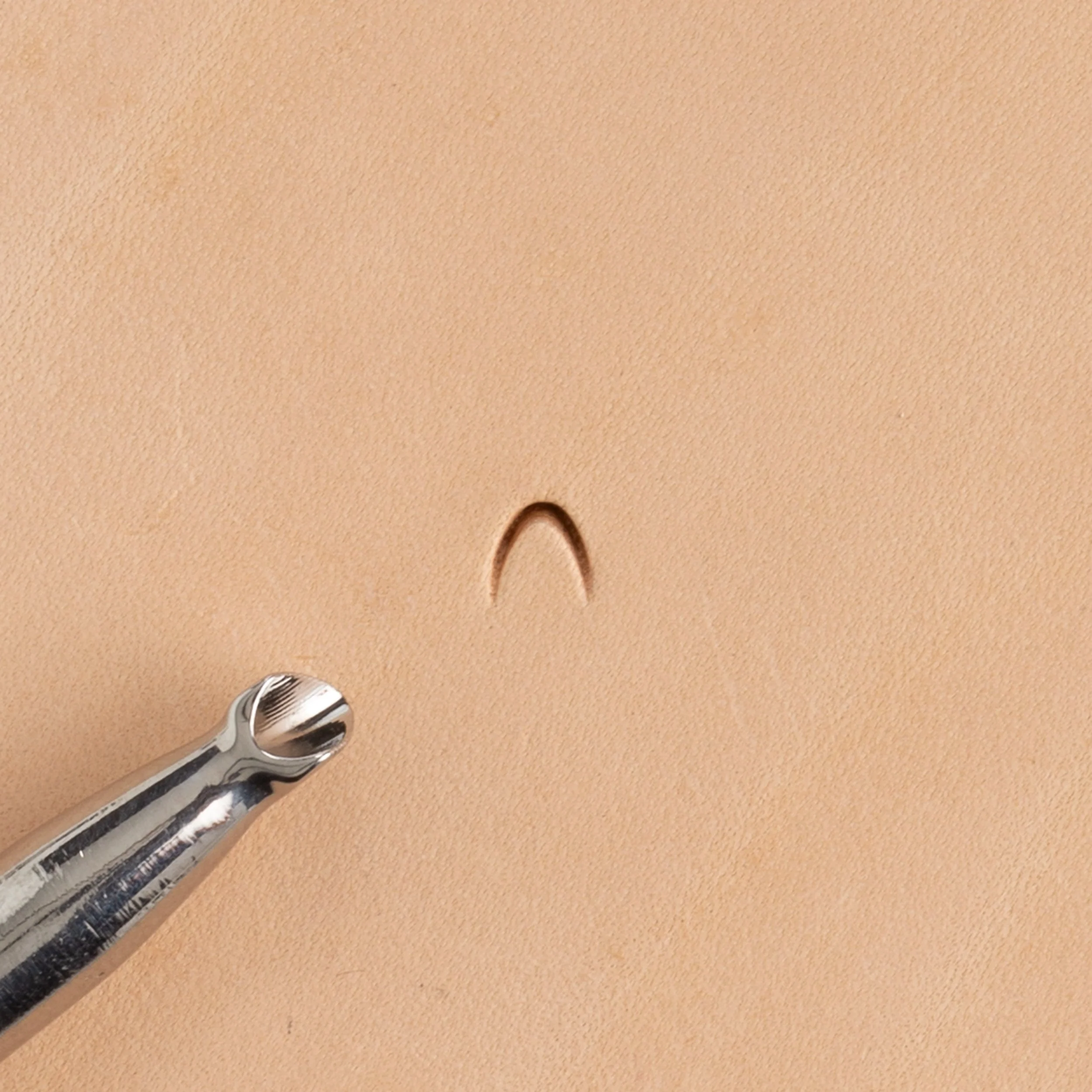 Mule Foot Stamps - FINAL SALE - Image 10