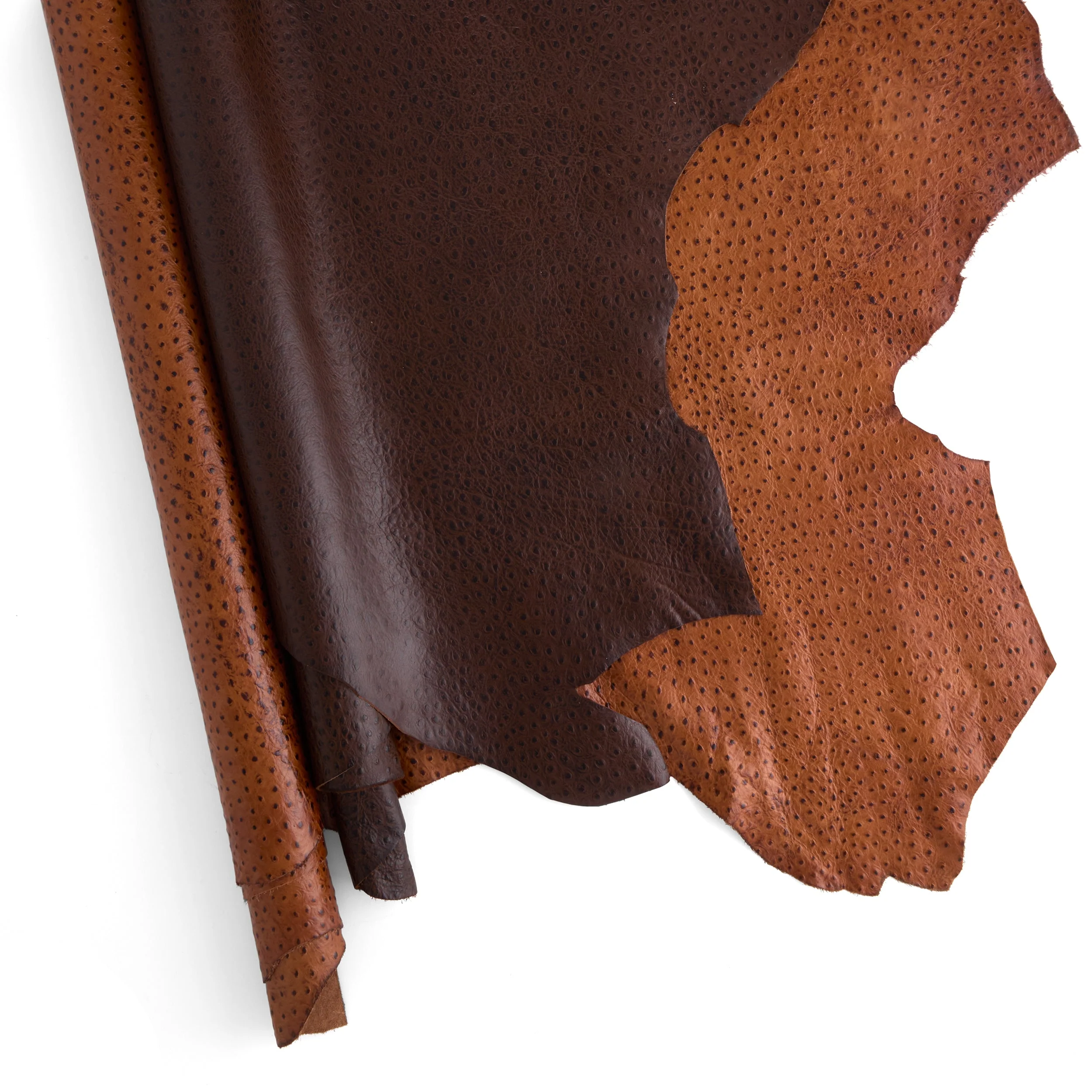 Ostrich Print Side