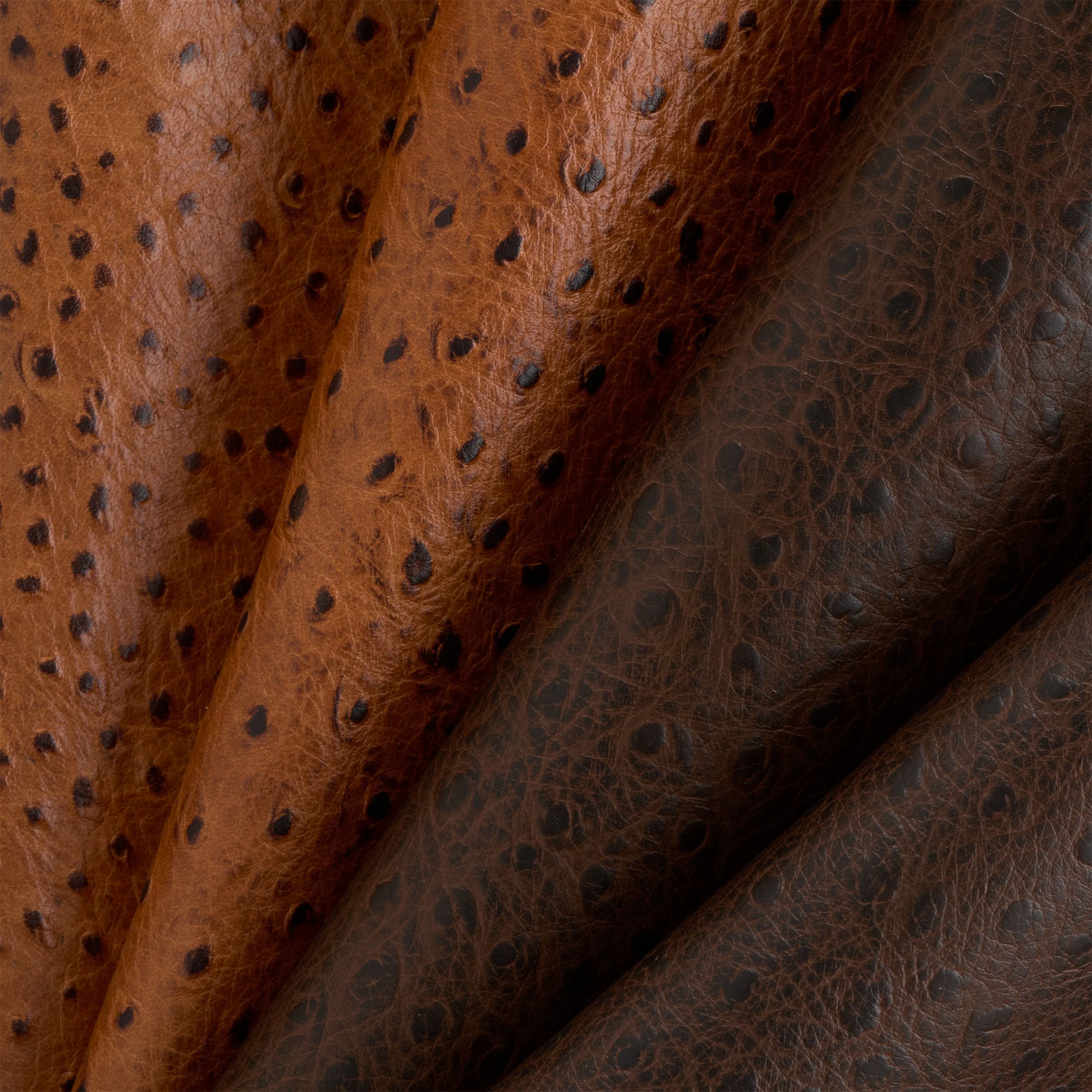 Ostrich Print Side - Image 2
