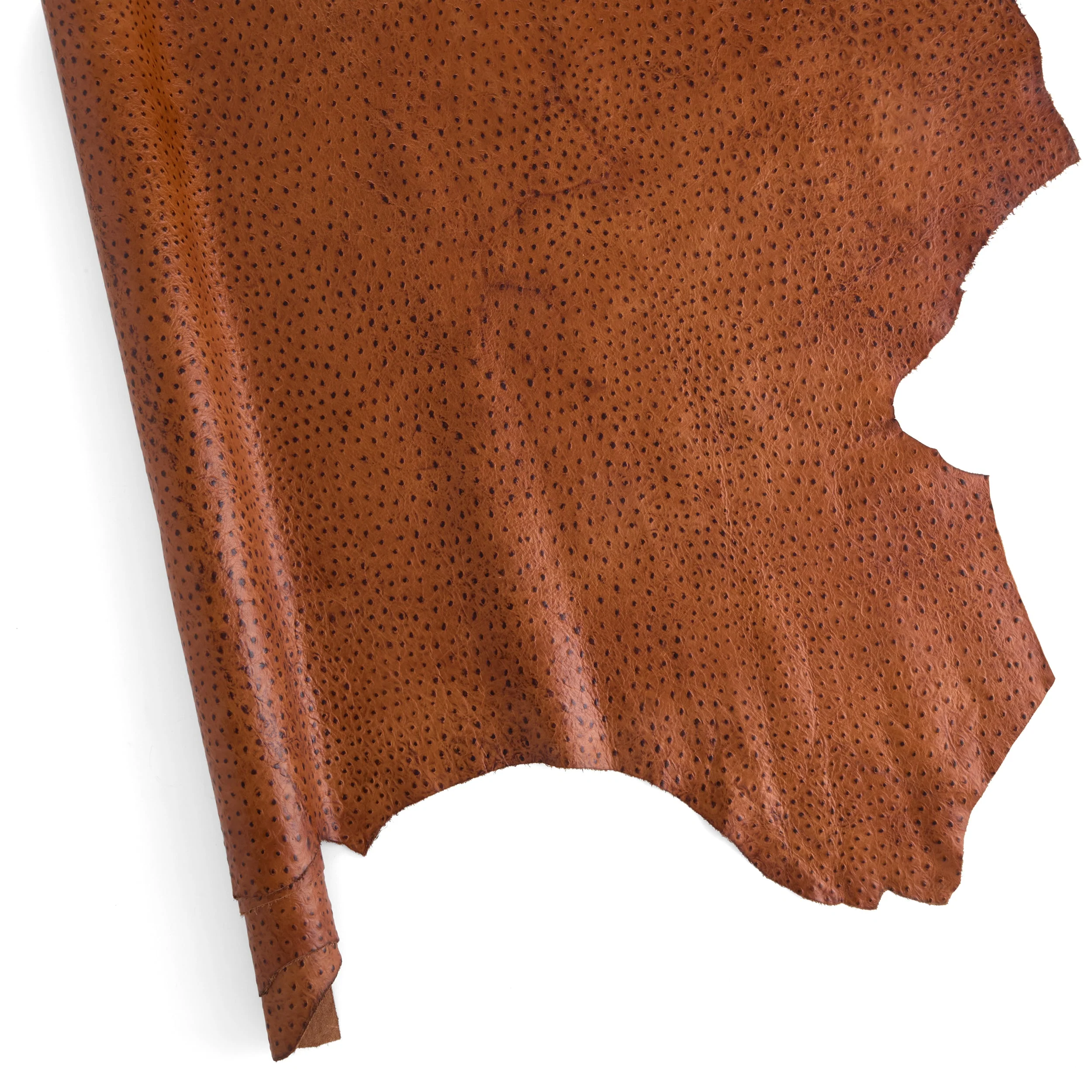 Ostrich Print Side - Image 4