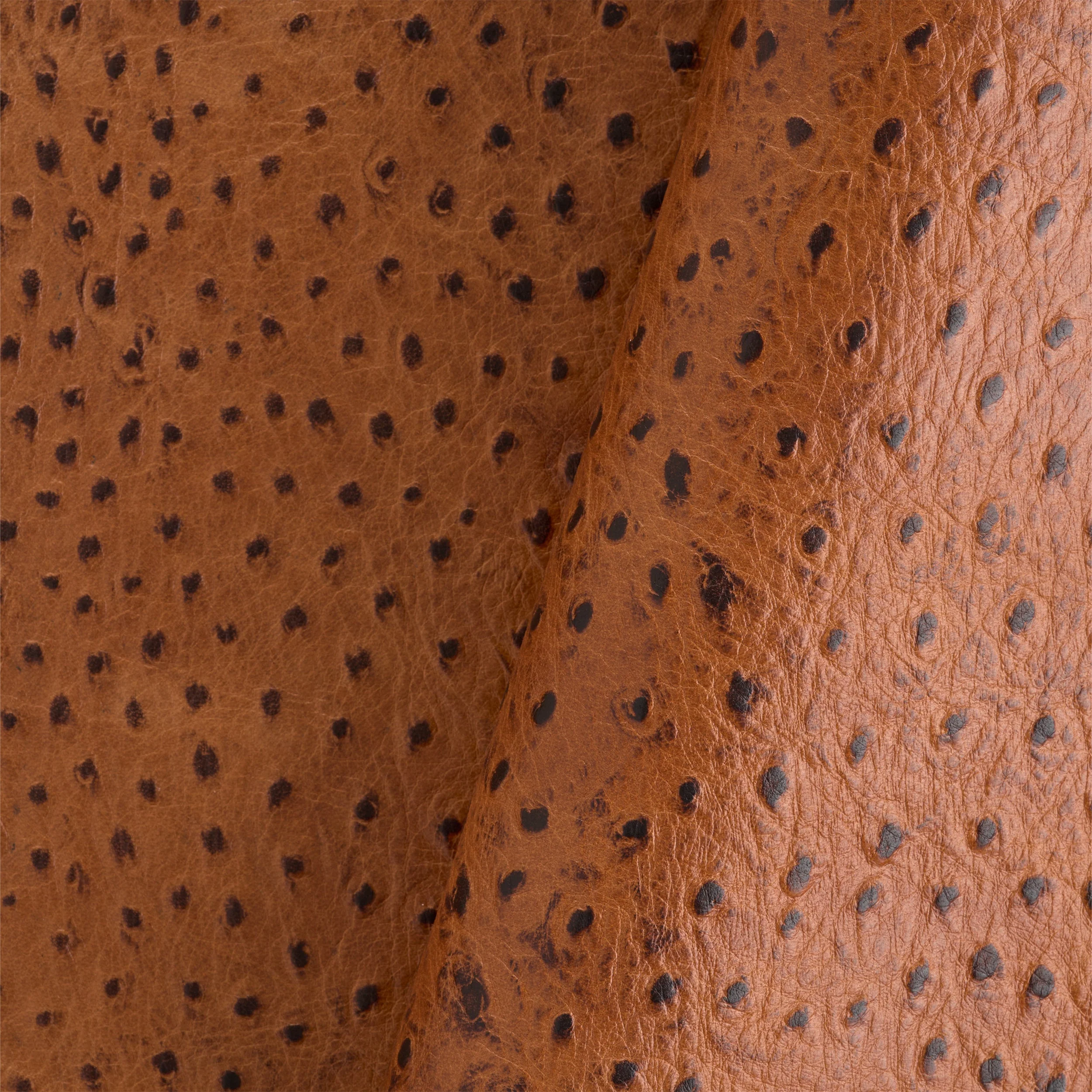 Ostrich Print Side - Image 5