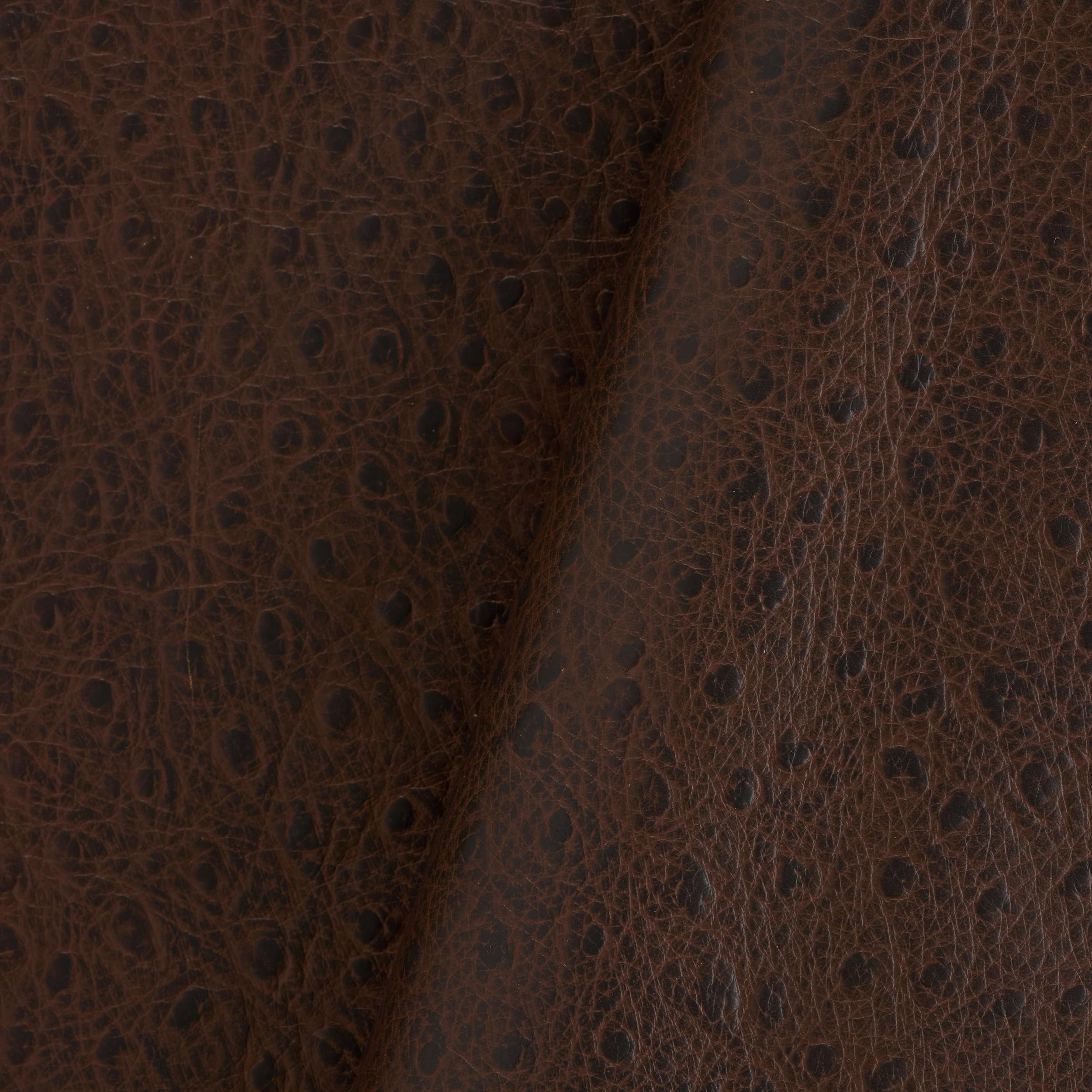 Ostrich Print Side - Image 7