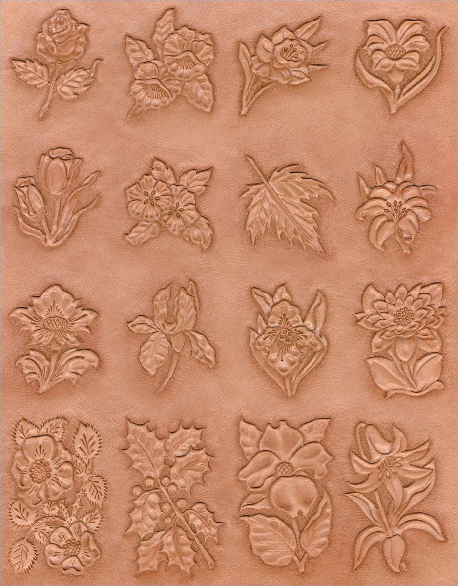 Plants Craftaid®