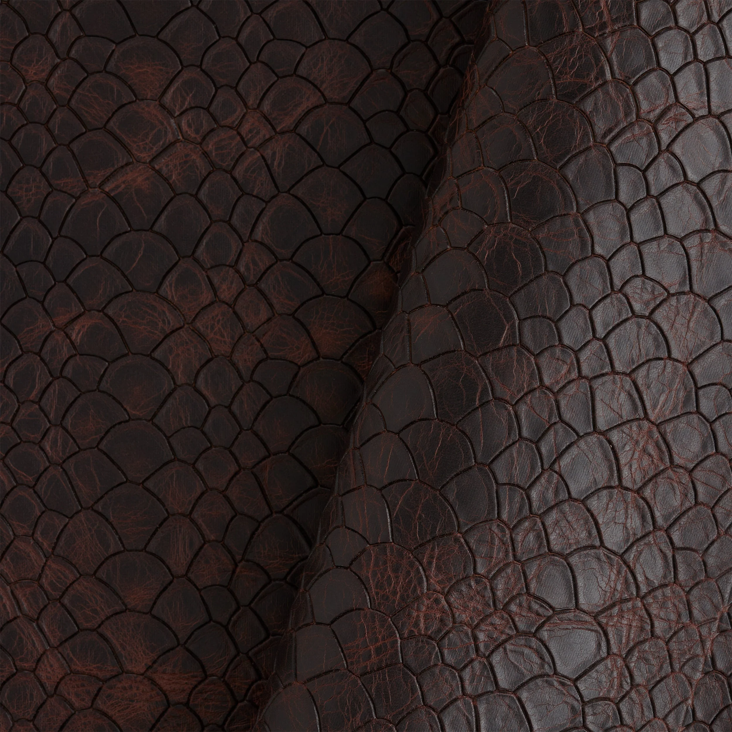Scale Embossed Side - Image 10