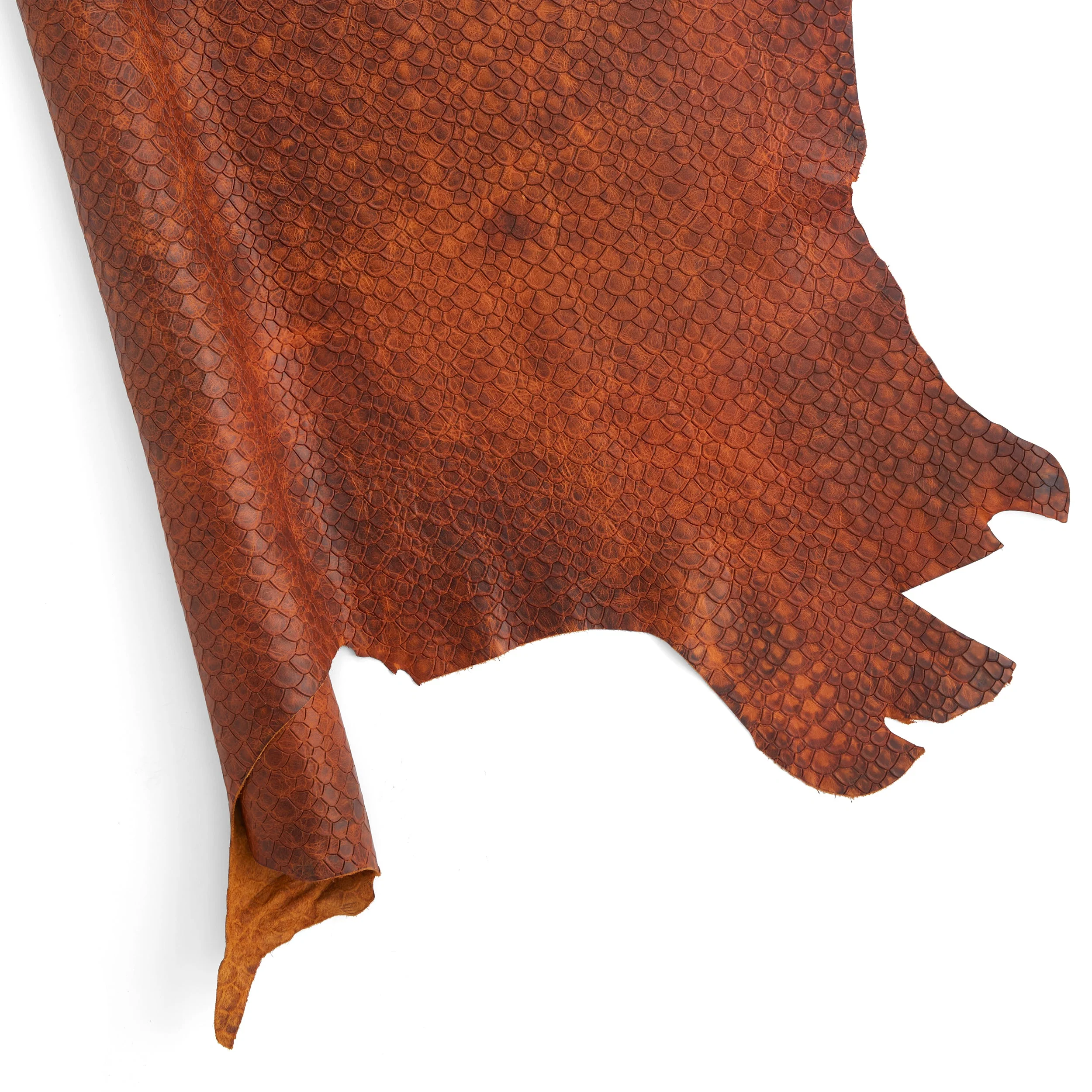 Scale Embossed Side - Image 12