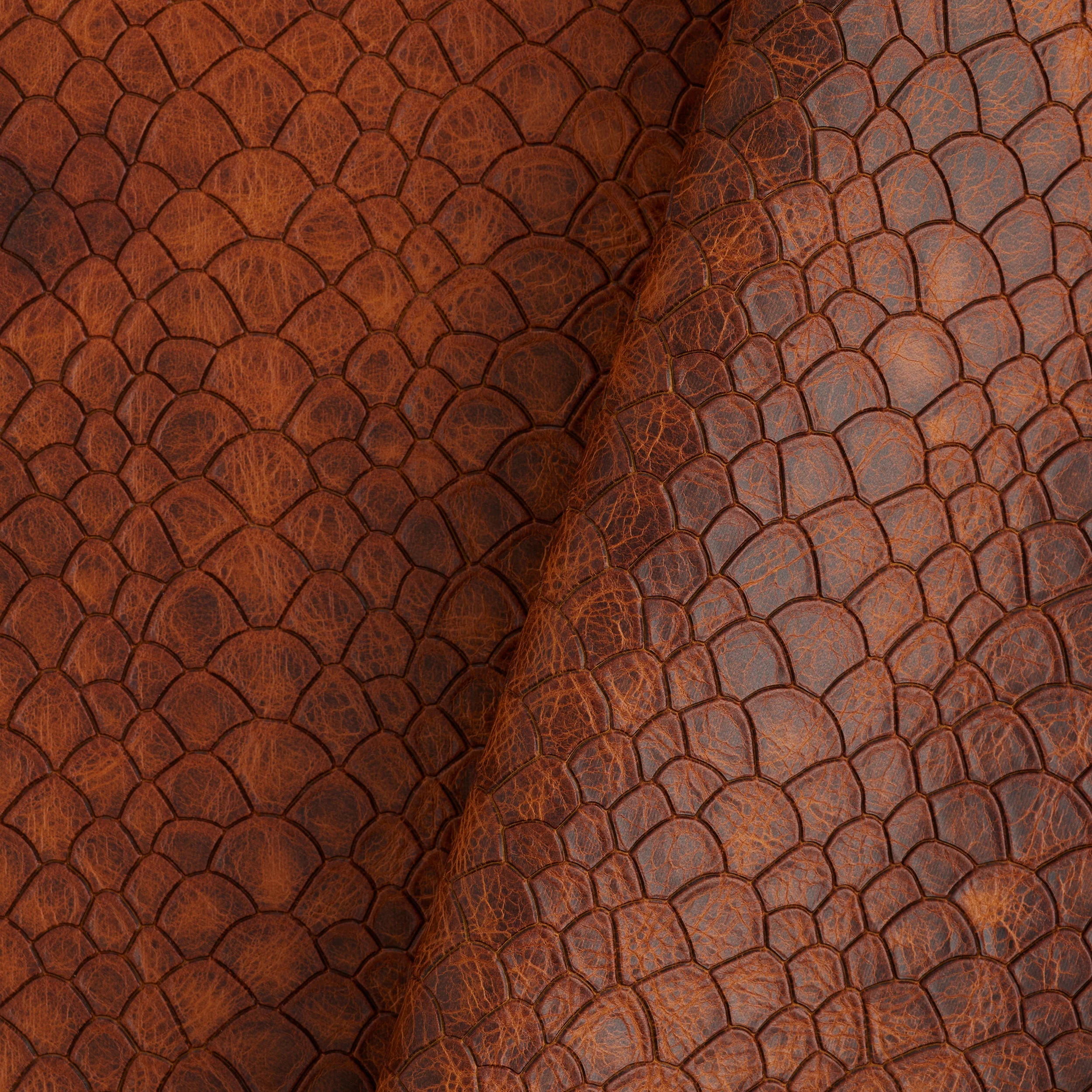 Scale Embossed Side - Image 13