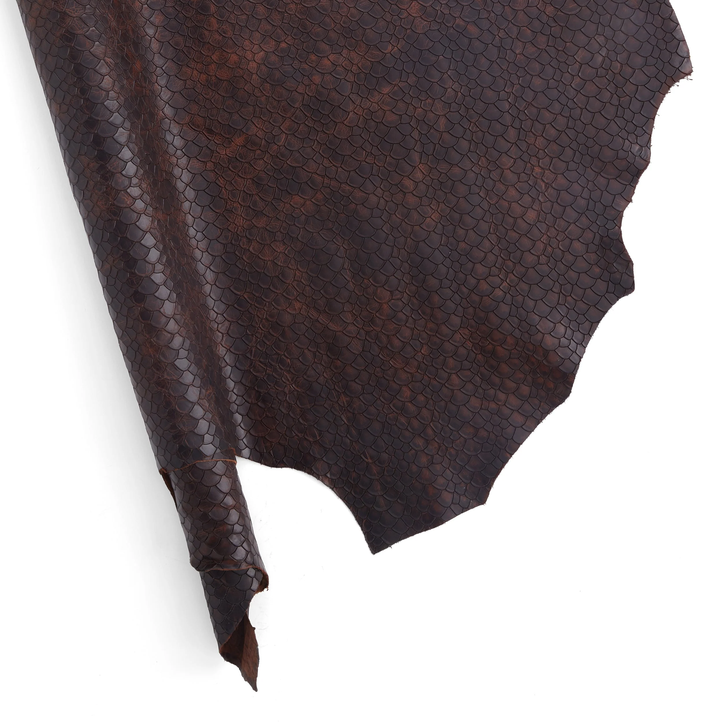 Scale Embossed Side - Image 9