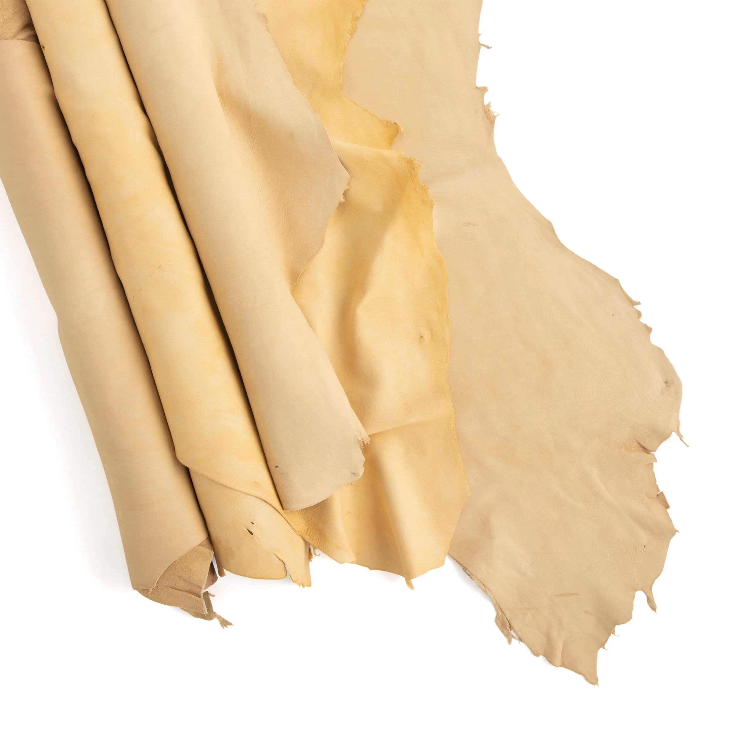 Selection North American Deerskin - Image 4