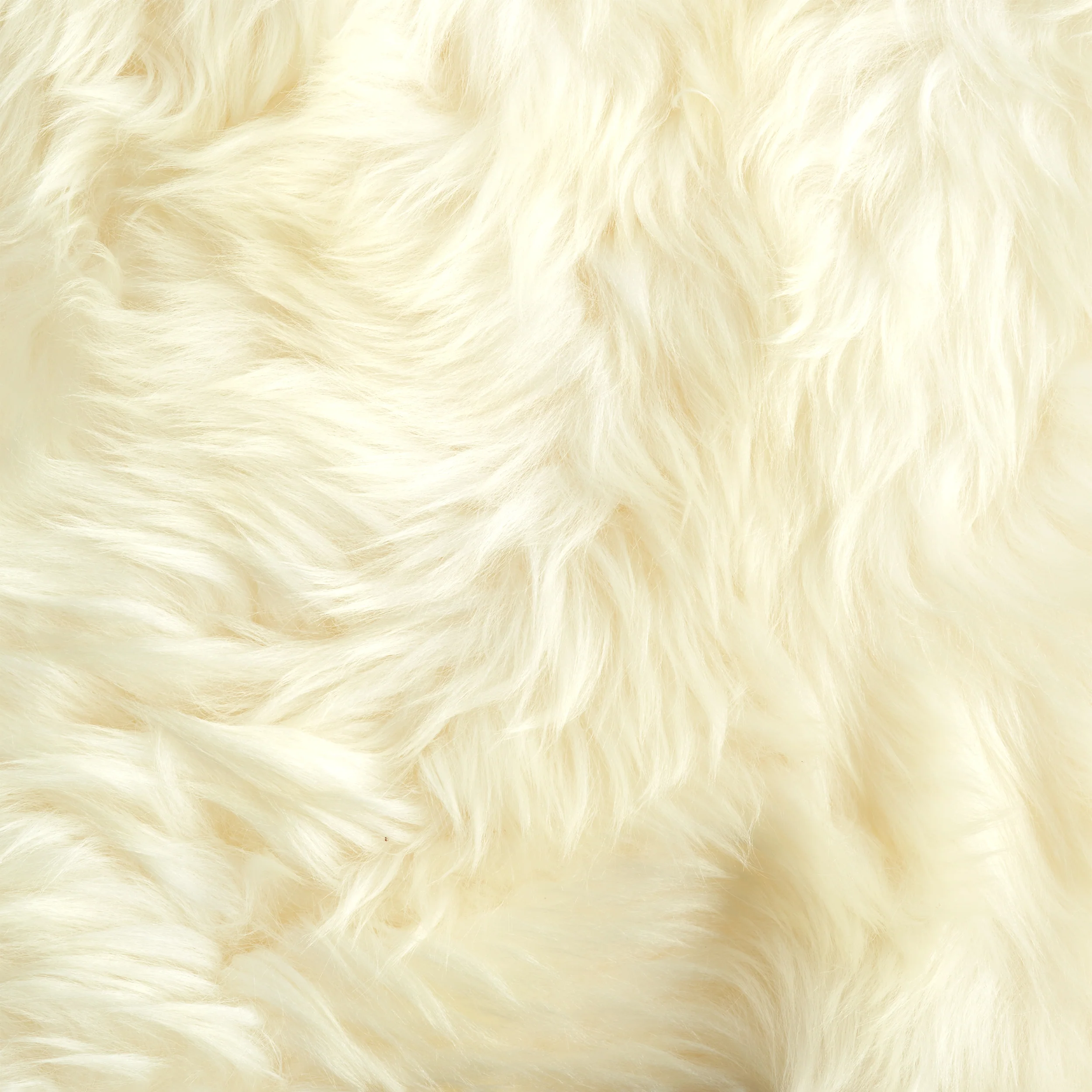 Sheepskin Rug - Image 4