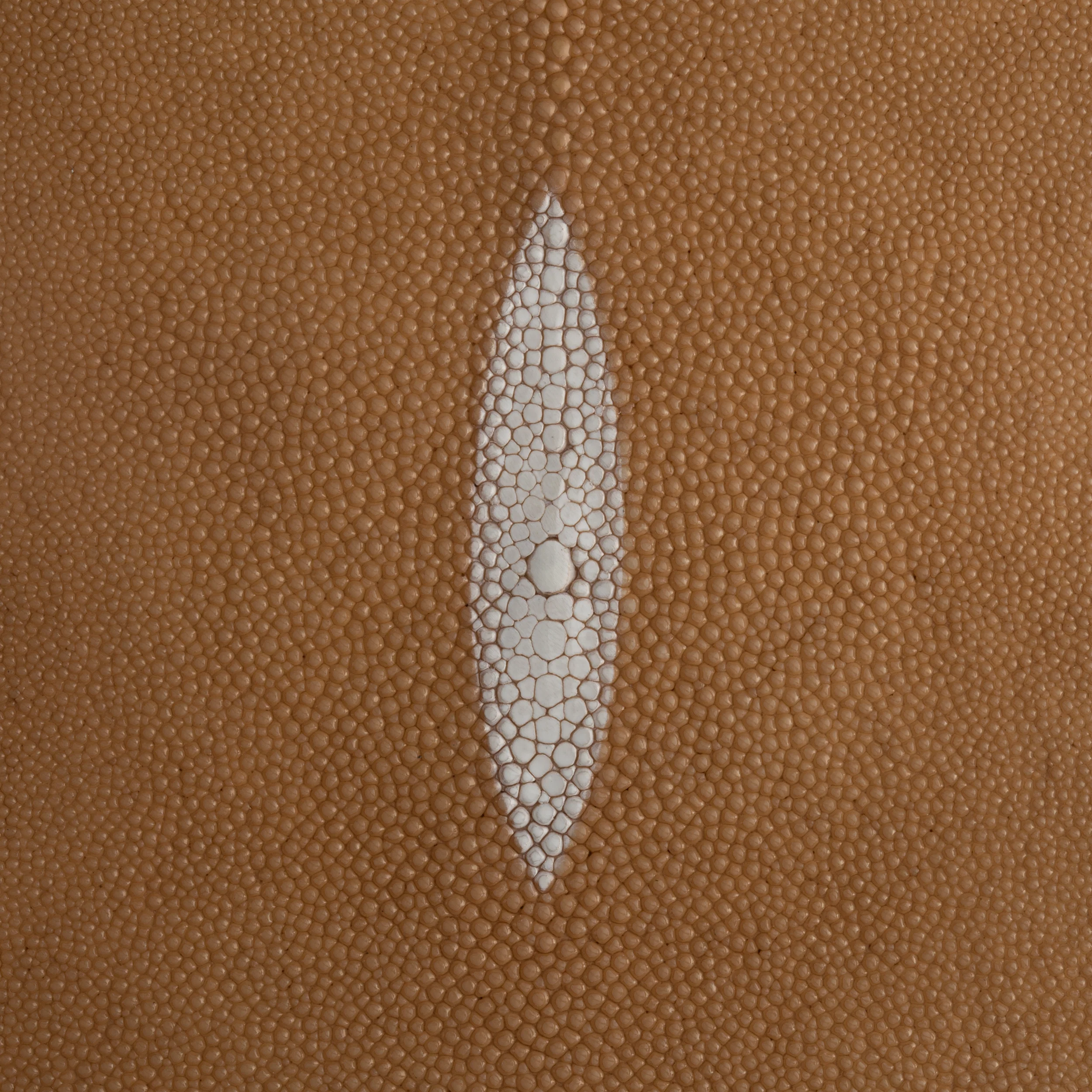 Stingray Small Skin - FINAL SALE - Image 2