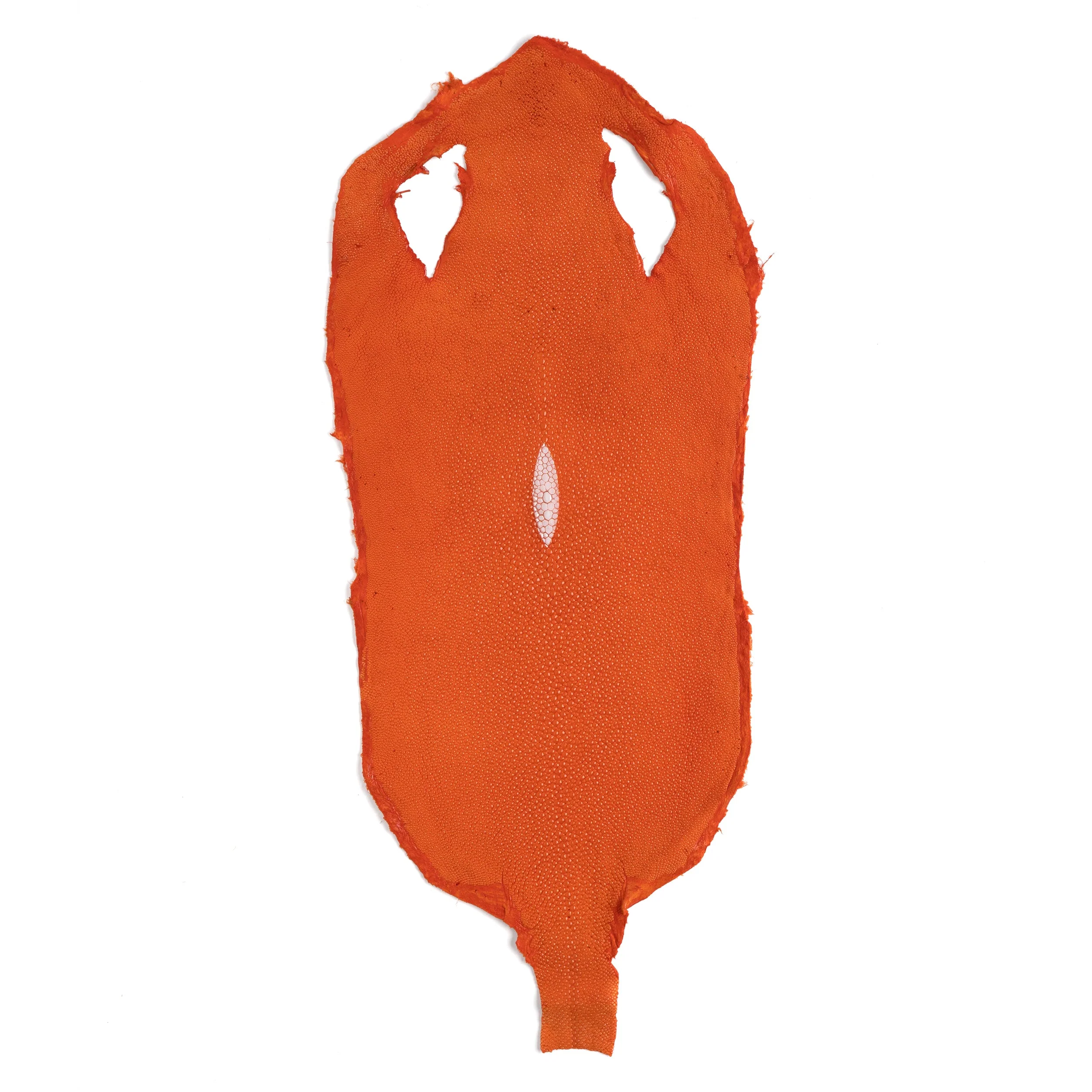 Stingray Small Skin - Image 10