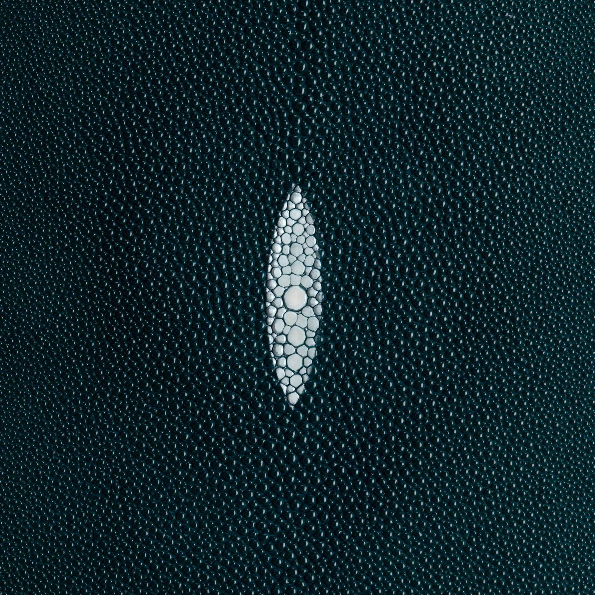 Stingray Small Skin - Image 15